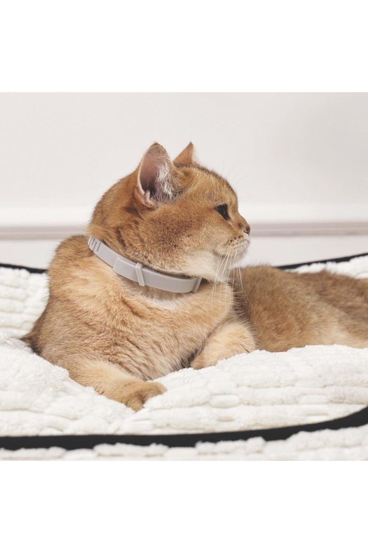 قلاده آرام‌بخش گربه ام‌پتس M-PETS Keep Calm، خاکستری
