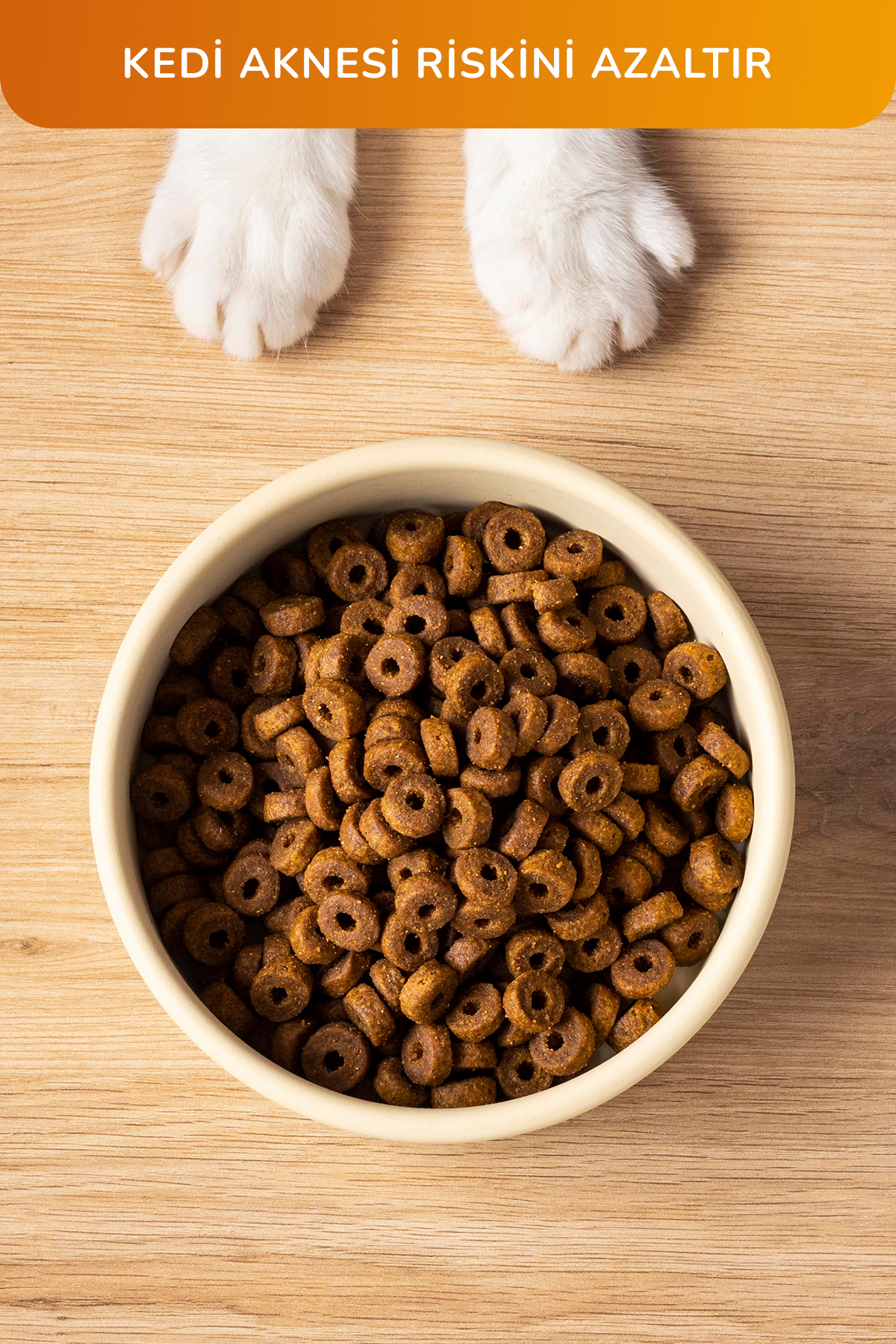 ظرف غذای و آب گربه و سگ گوبی‌پت GOBYPET، مدل 002695، سرامیکی سفید ۲۰۰ میلی‌لیتری