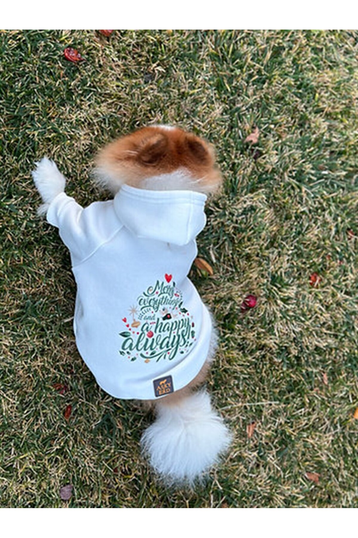 لباس سگ قرمز از مجموعه Woofmas Collection | Merry Everything از آسکی‌اندارد Asky&Erd