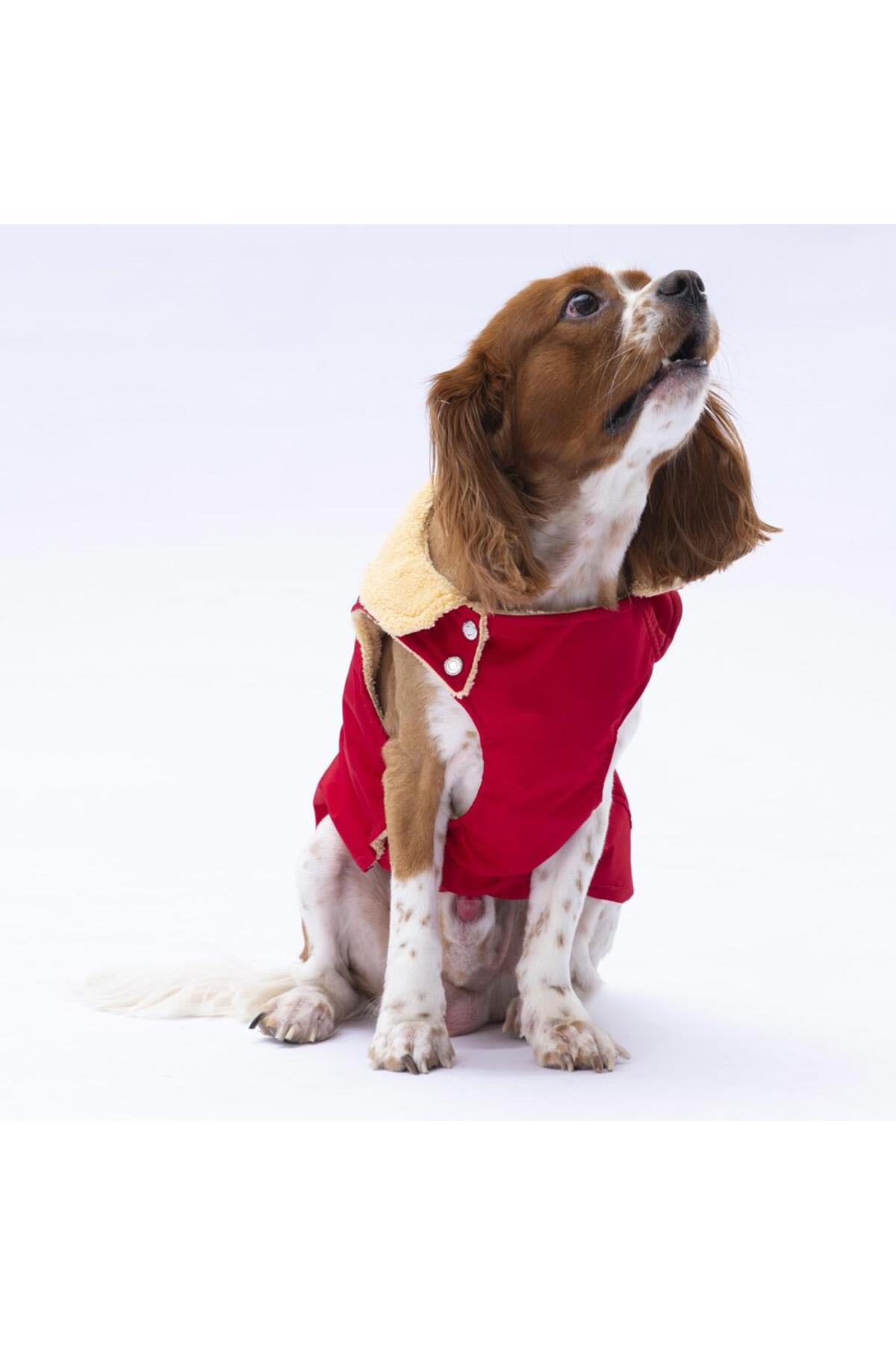 جلیقه بارانی قرمز سگ پاوستار Pawstar Yukon مدل PS24-1037