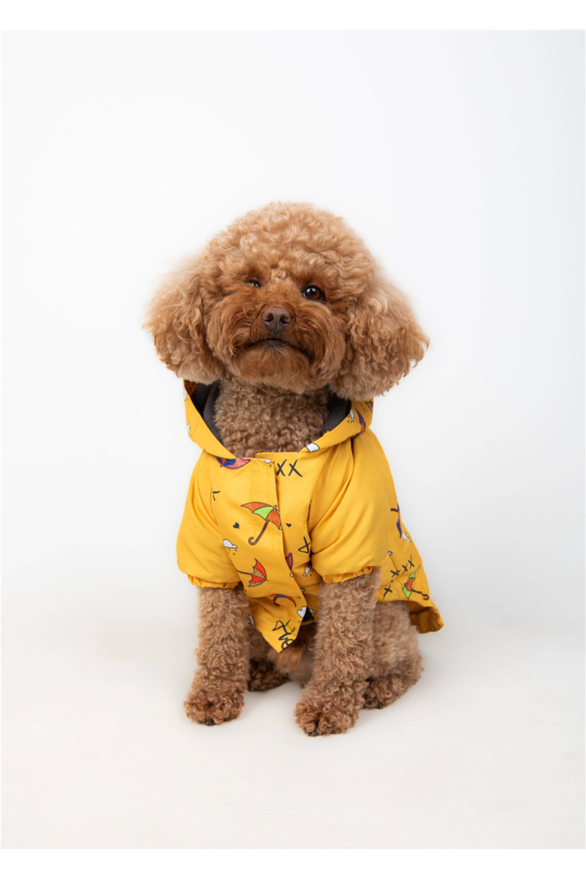 بارانی سگ تارپاز TARPAWS Umbrella (Polar)