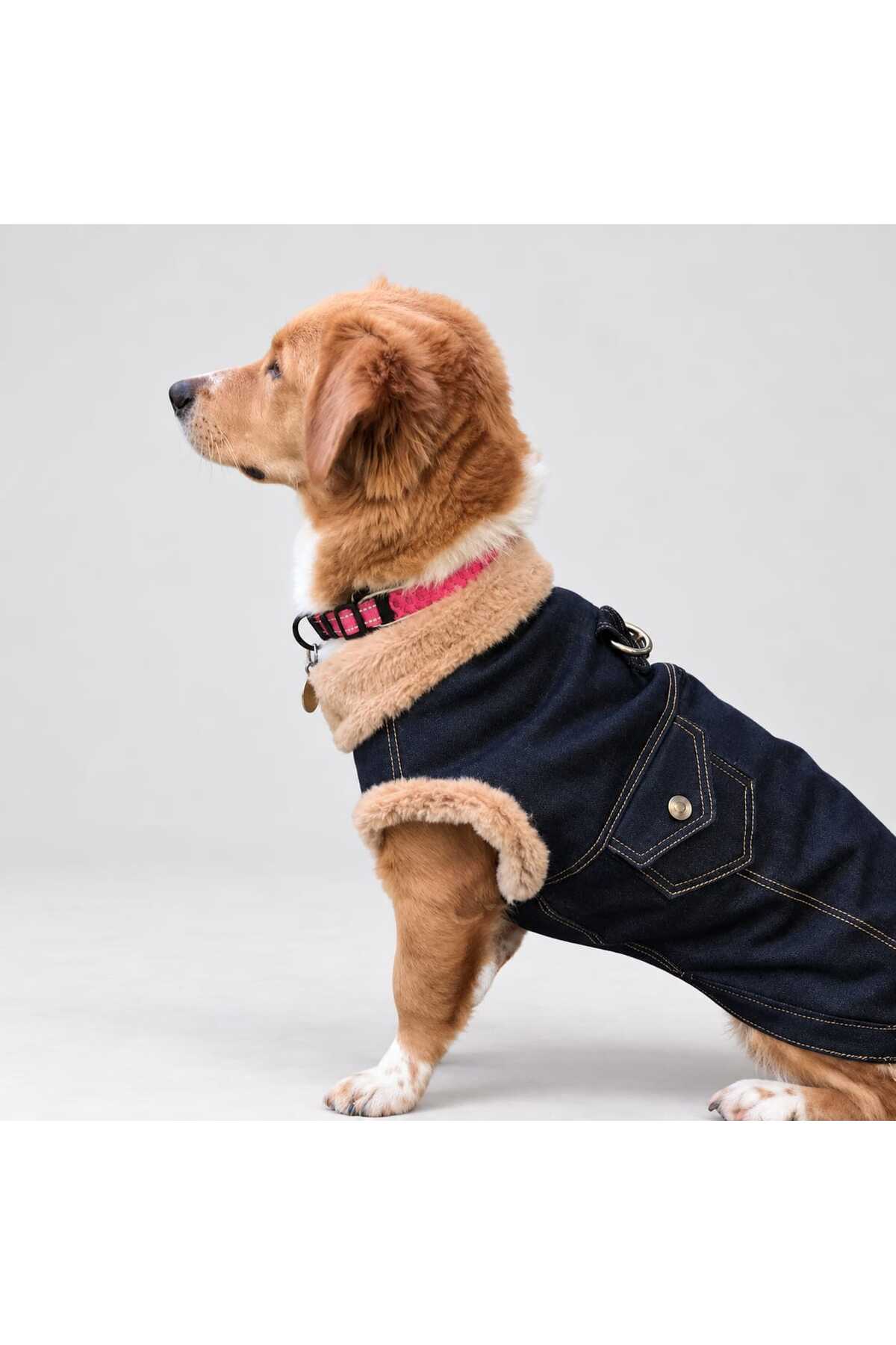 کت جین سگ Cosy Up لولو د اربن پاپ Lulu The Urban Pup با آستر پشم مصنوعی آبی