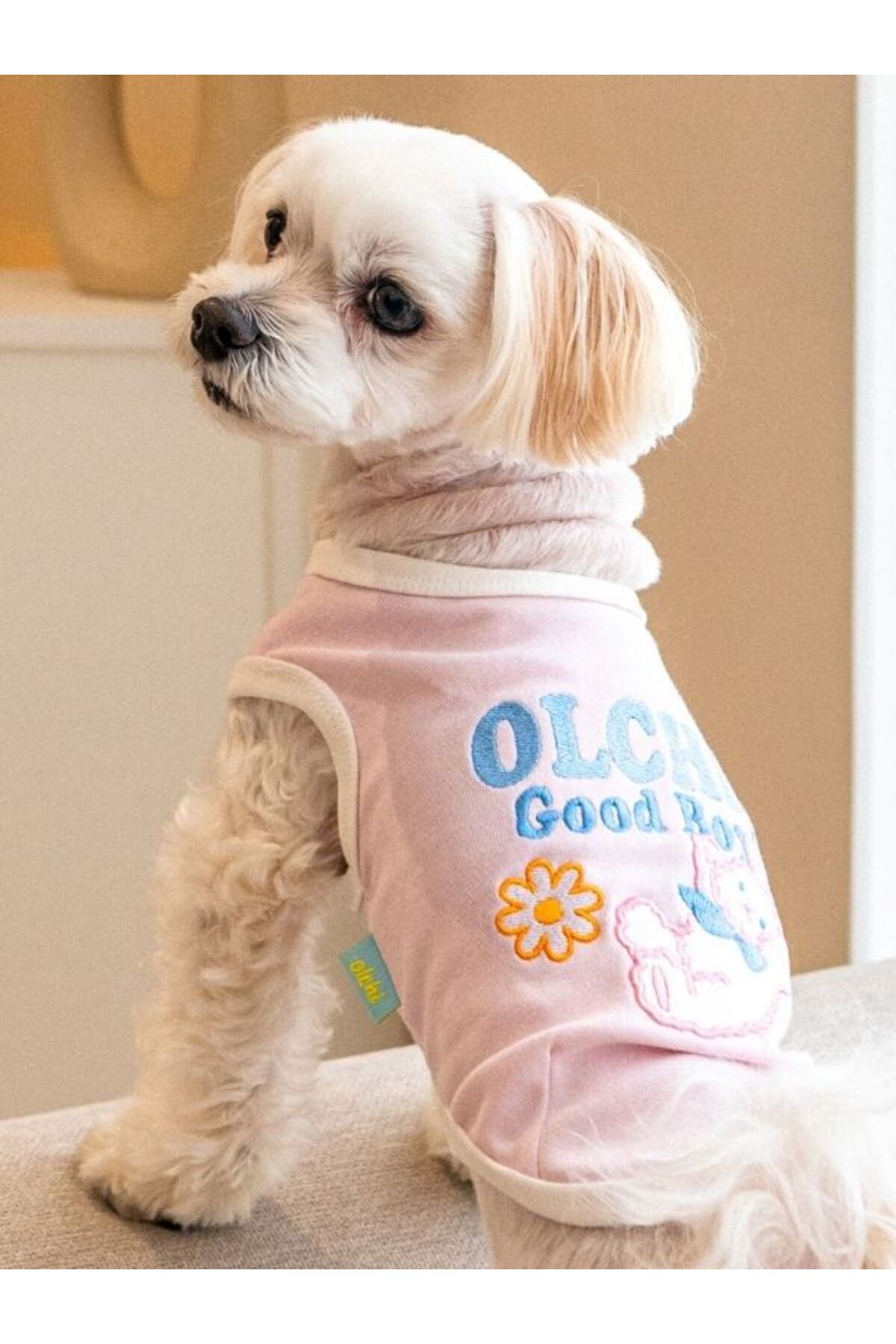 لباس سگ اولچی Olchi مدل Good Bunny، کد OAZA-TS6796 صورتی
