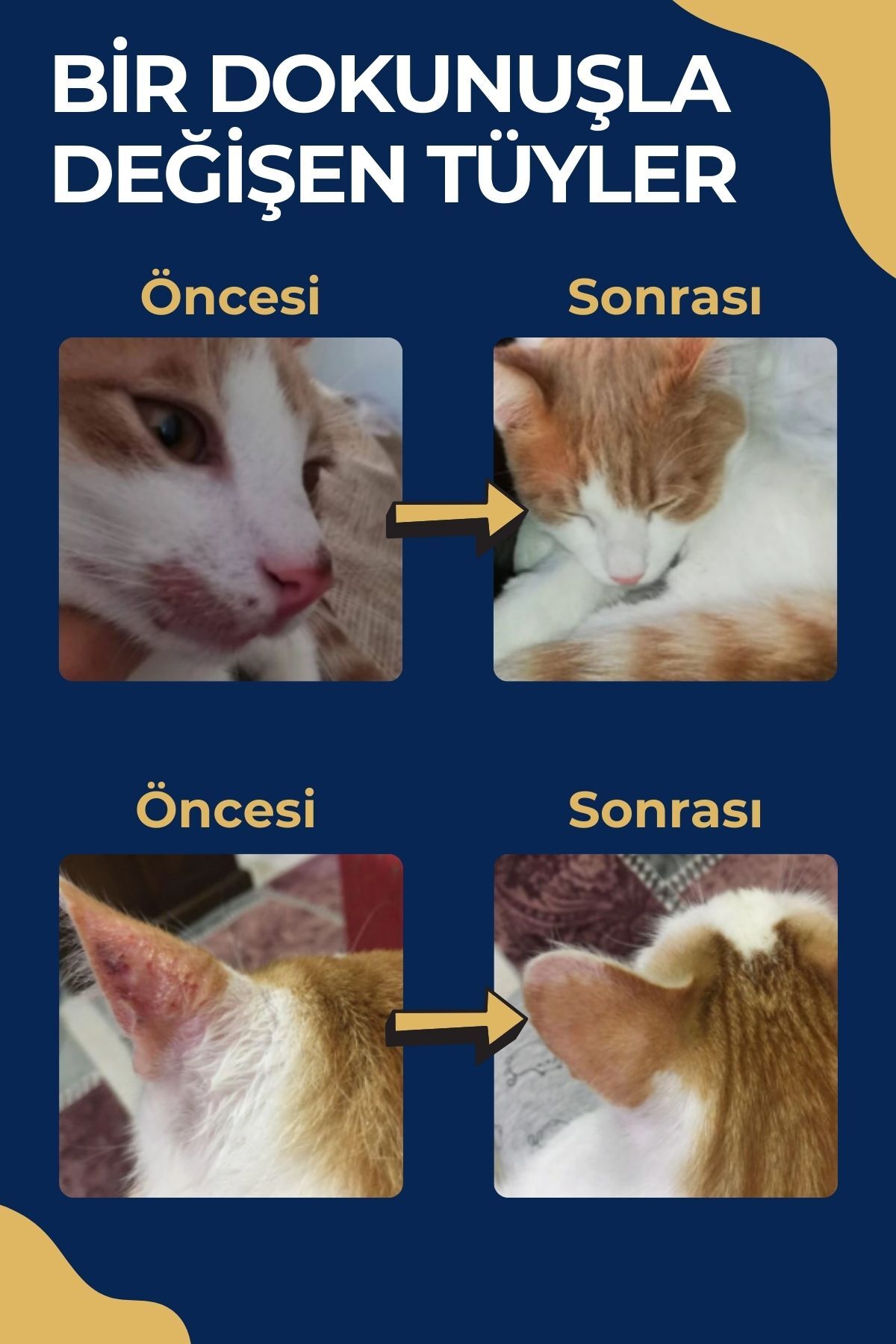 کرم مراقبت از پوست گربه کلی‌پت Cleapet، مرطوب‌کننده طبیعی وازلینی، ۱۰۰ میلی‌لیتر