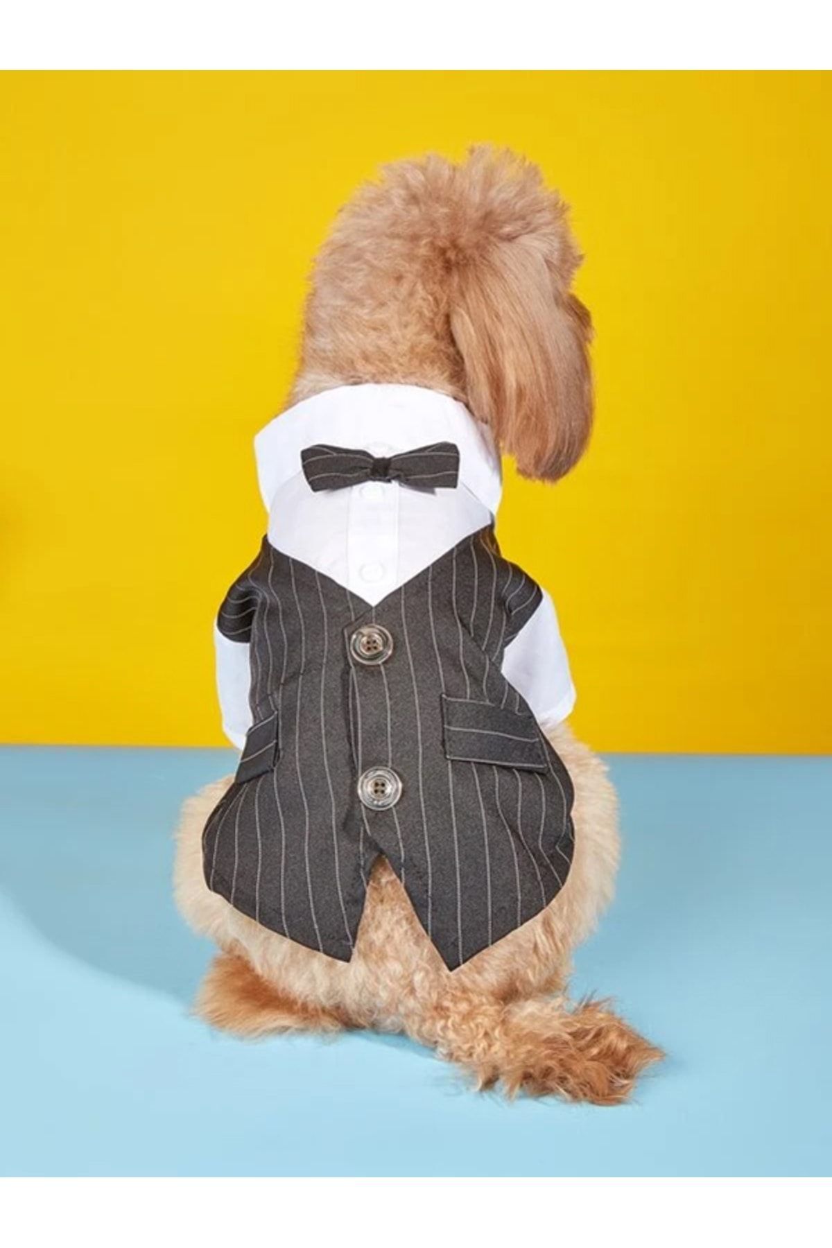 لباس سگ دولچه پتس Dolce Pets مدل DT001، مشکی