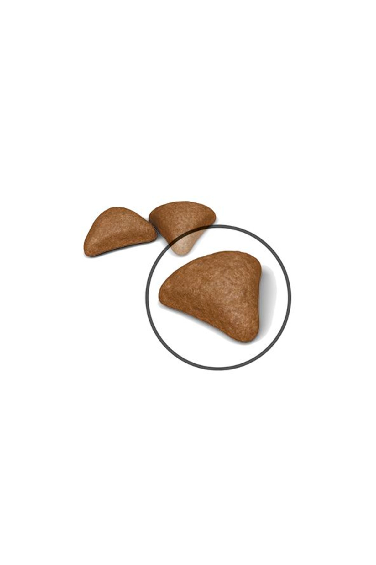 غذای خشک گربه بالغ برای کنترل گلوله‌های مو، رویال کنین Royal Canin، ۲ کیلوگرم
