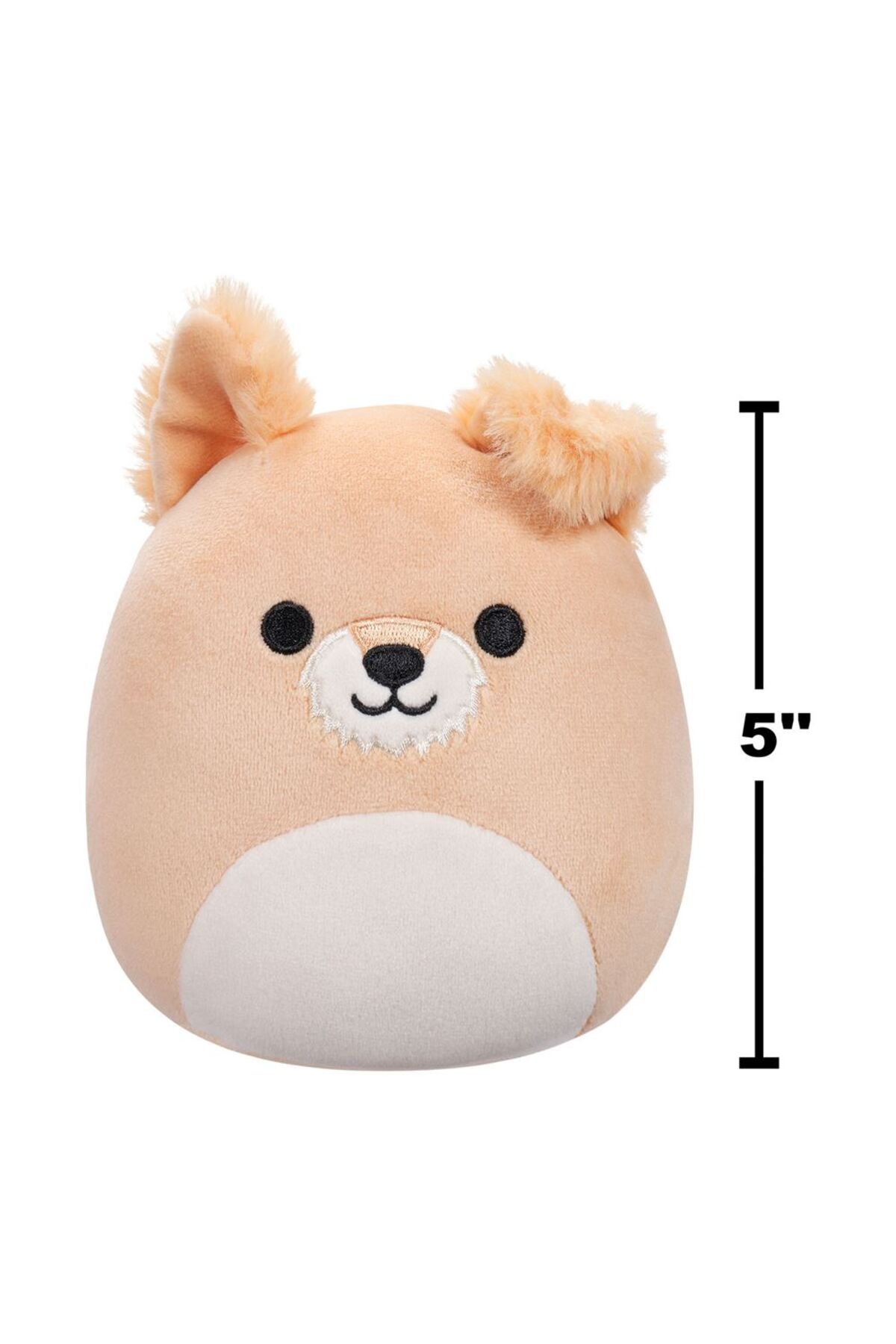 اسباب بازی های پشمی SCHNAUZER COOPER 20CM CR07654 اورجینال Squishmallows