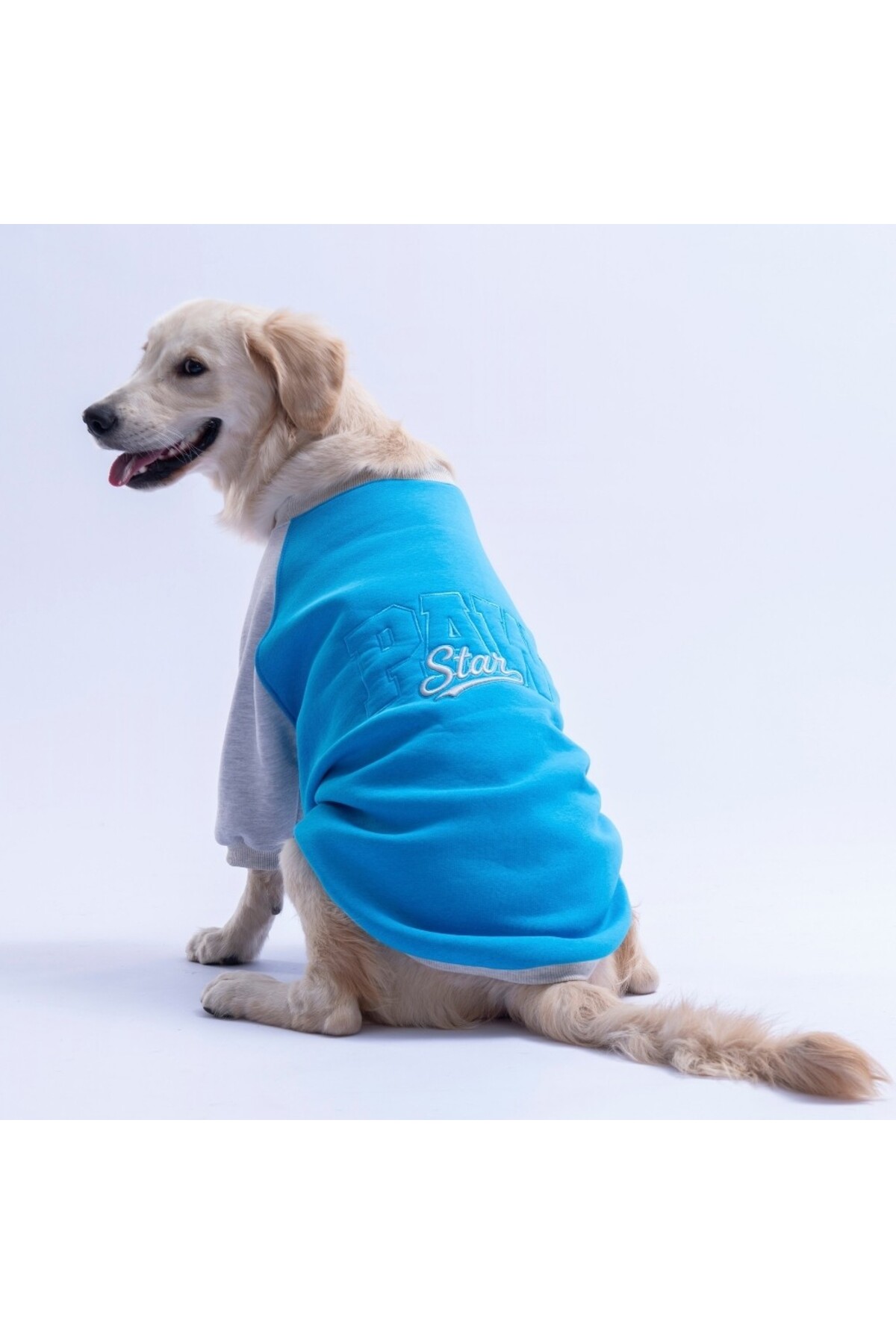 سویشرت سگ پاوستار Pawstar مدل Boston، آبی، مناسب نژادهای متوسط تا بزرگ