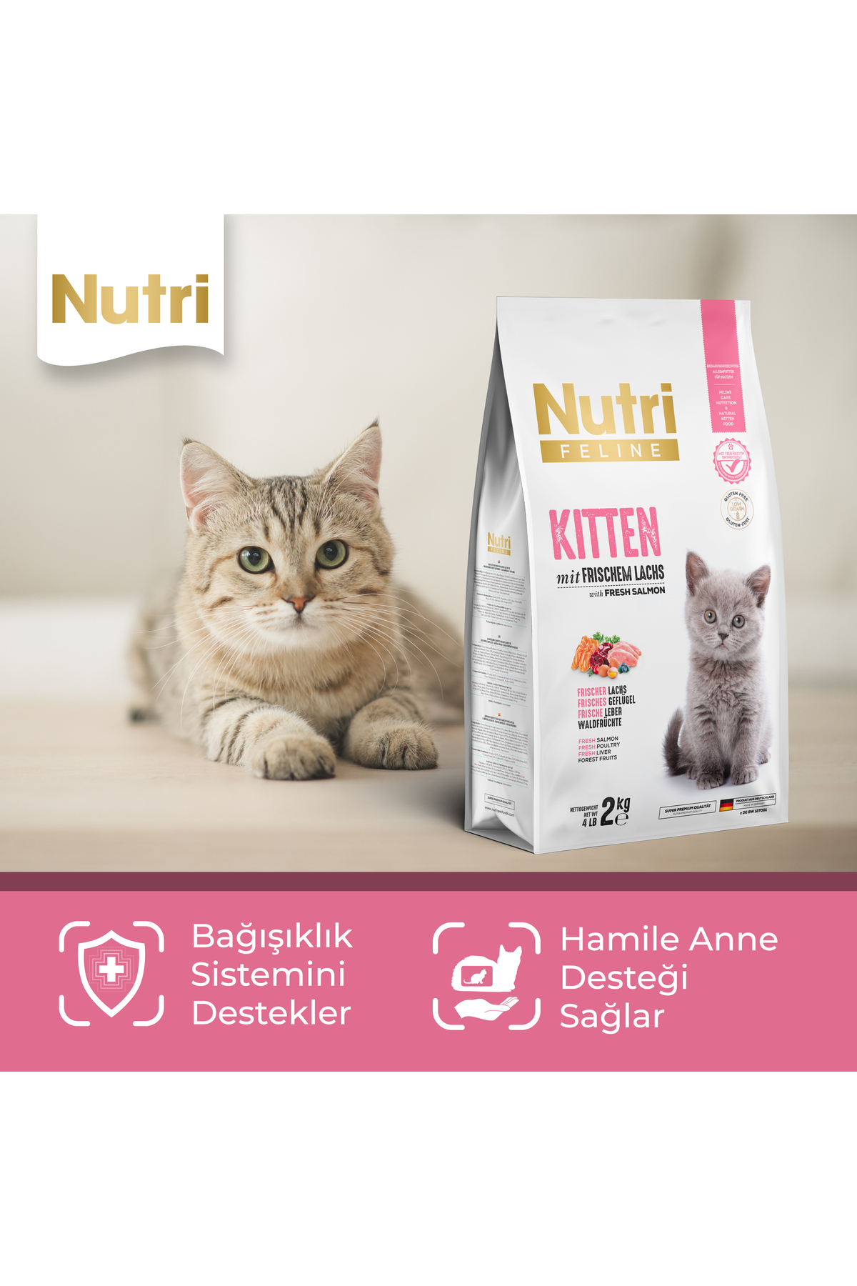 غذای خشک بچه‌گربه نوتری فیلین nutrifeline (Nutri Feline) با سالمون تازه، بدون گلوتن، ۲ کیلوگرم