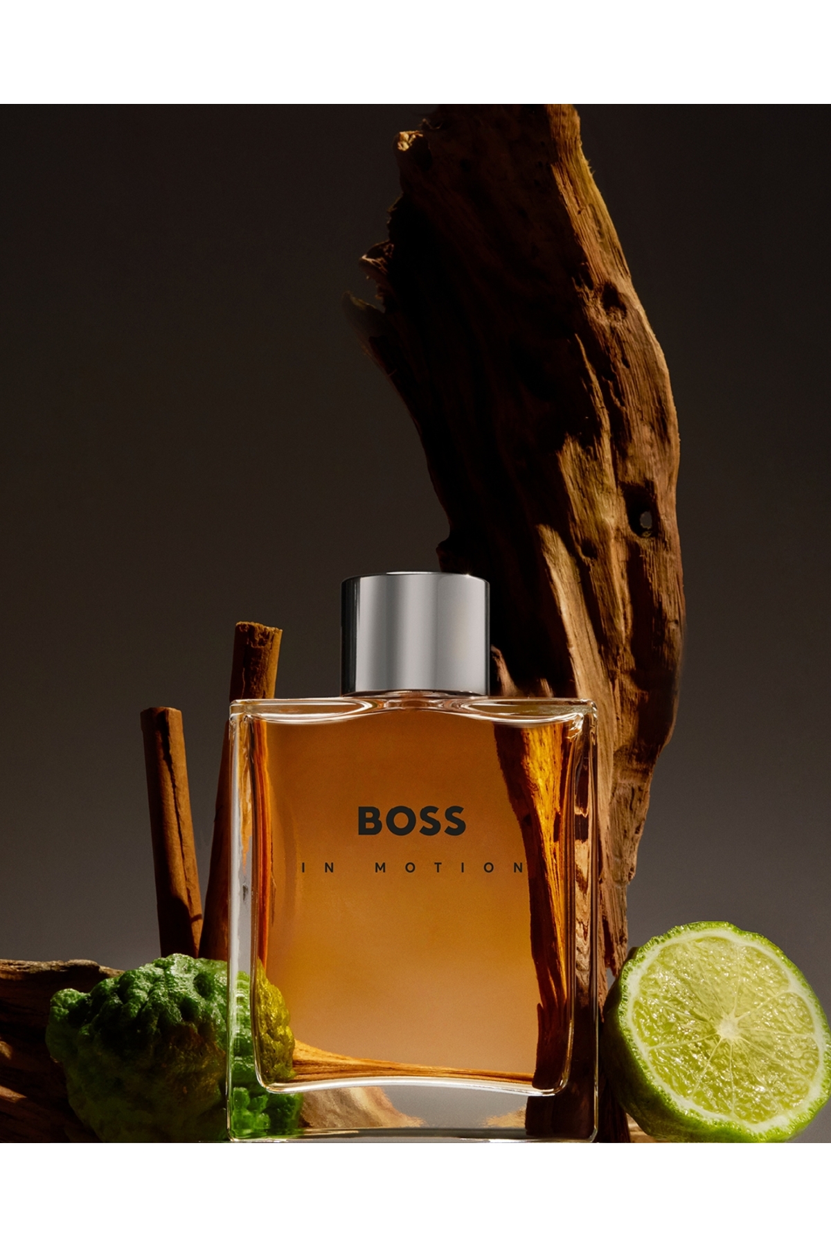 Hugo Boss عطر مردانه In Motion Eau De Toilette 100 میلی لیتر