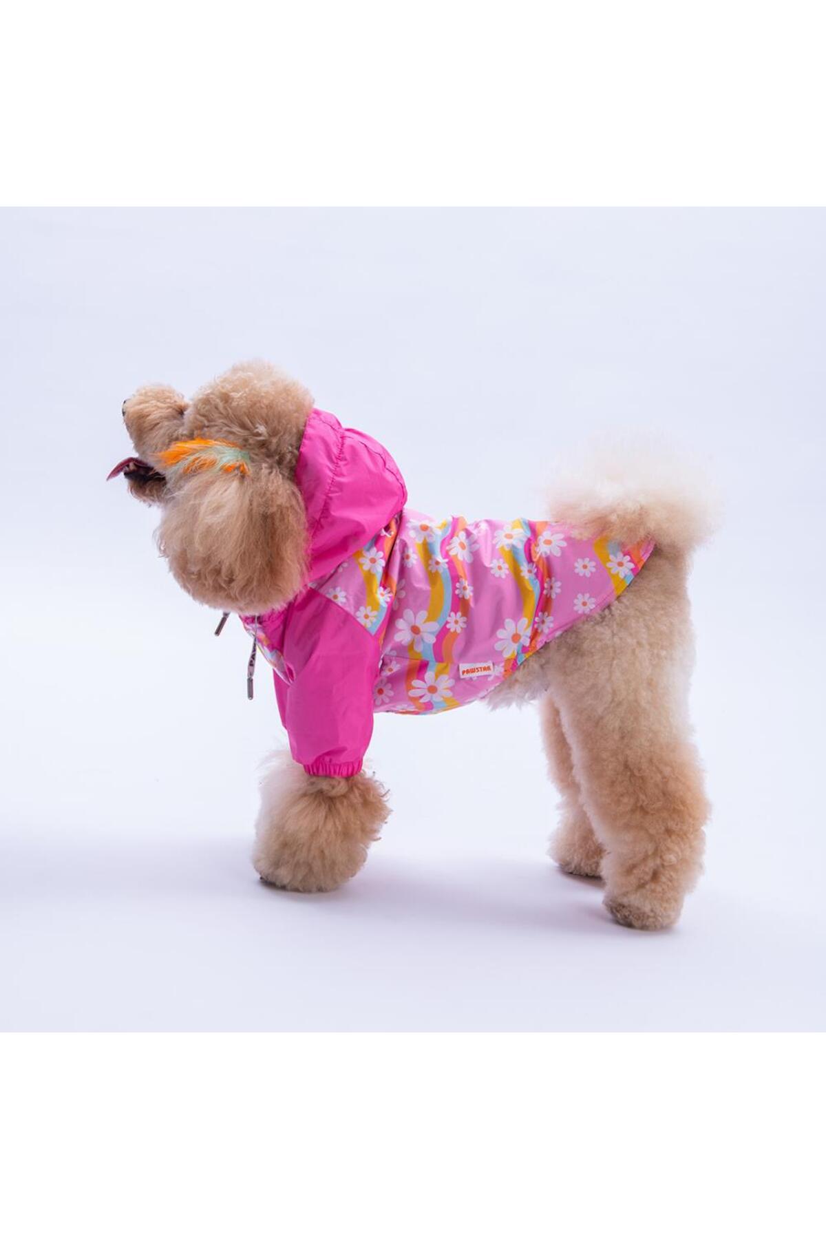 بارانی سگ پاوستار Pawstar Florence Daisy صورتی با طرح گل مینا، مدل PS25-1081