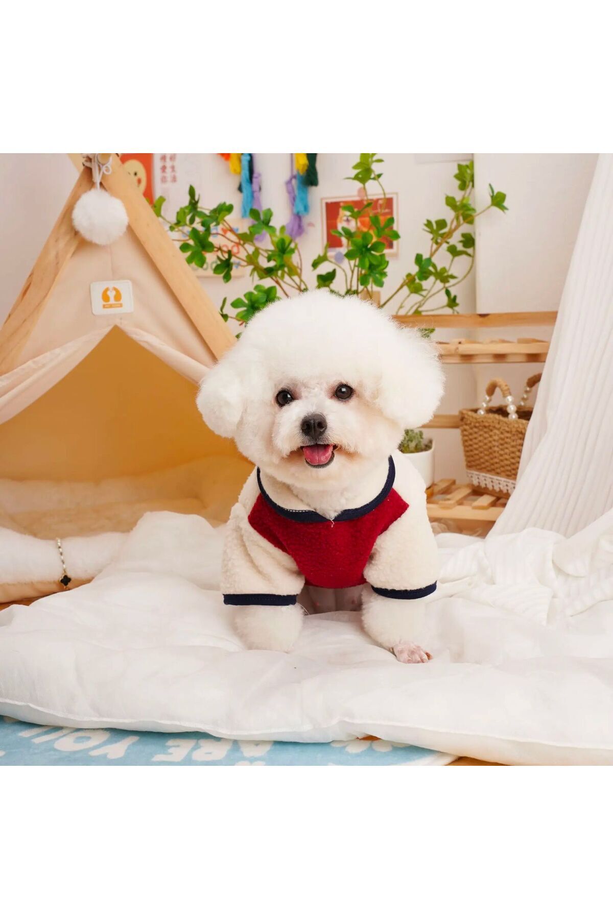 لباس سگ دولچه پتس Dolce Pets، ژاکت پلار زرشکی