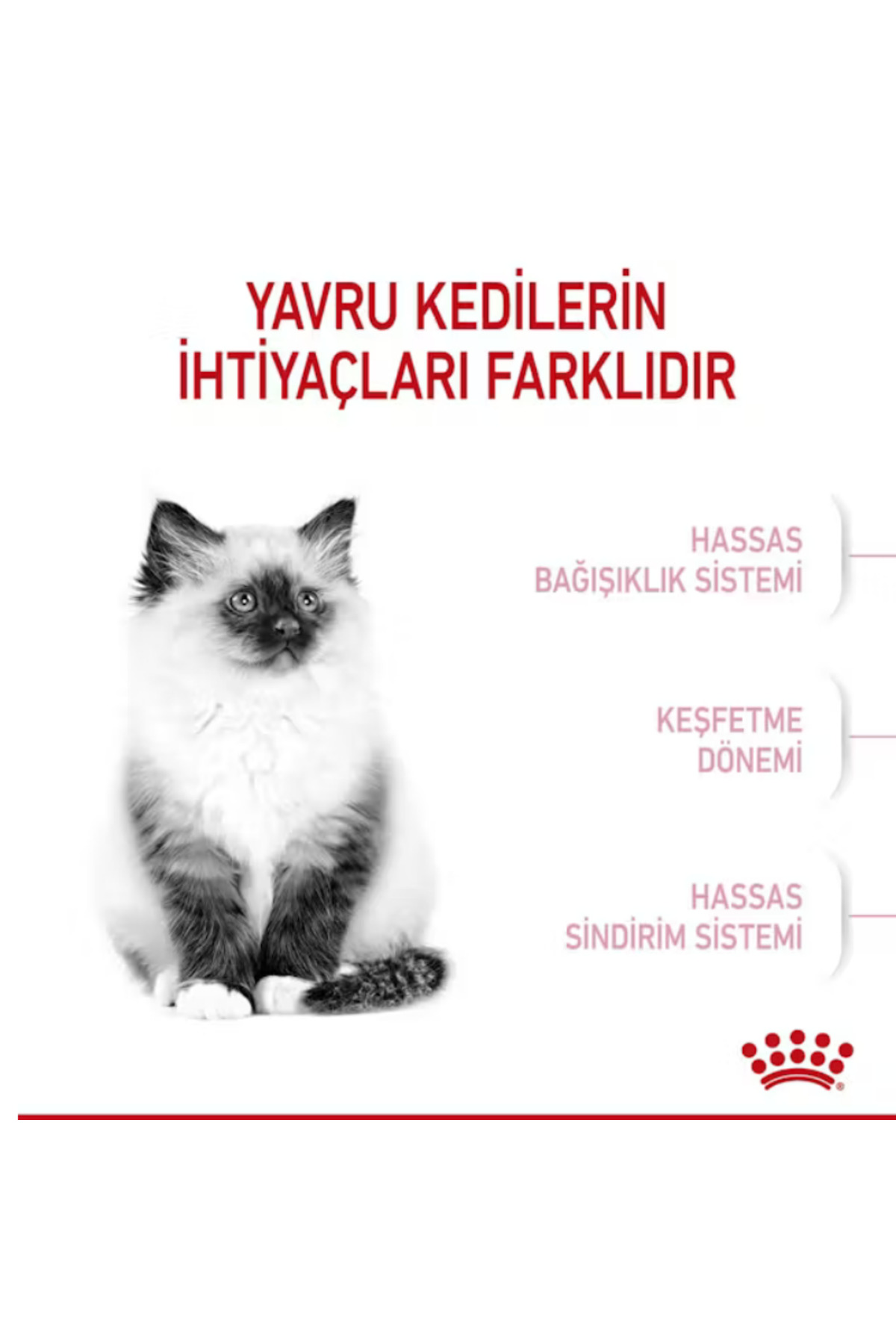 غذای خشک بچه‌گربه رویال کنین Royal Canin با طعم طیور، ۲ کیلوگرم
