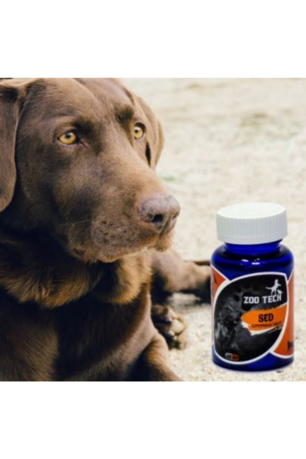 قرص جلوگیری از مدفوع‌خواری سگ زوتک ZooTech Sed Coprophagia