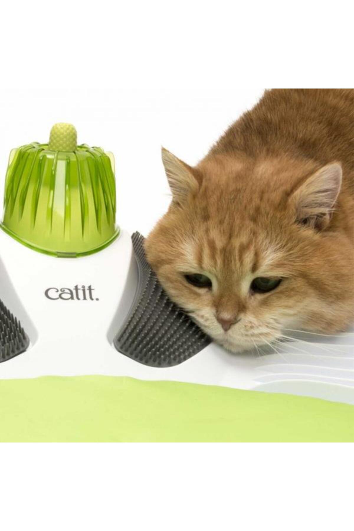 اسباب‌بازی گربه کاتیت Catit مدل 1465570، چندرنگ