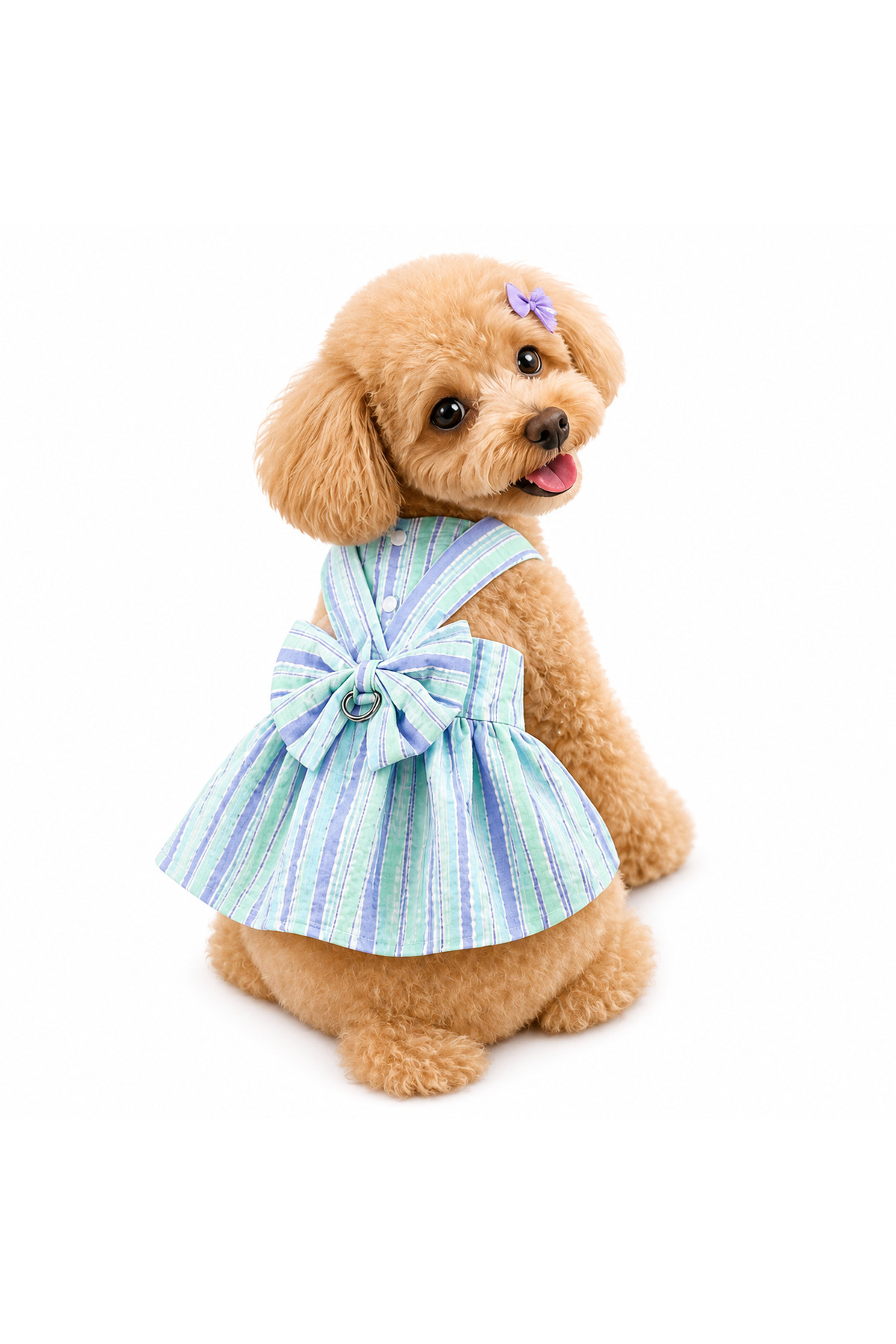 پیراهن راه‌راه پاپیون‌دار سگ و گربه سبز دولچه پتس Dolce Pets