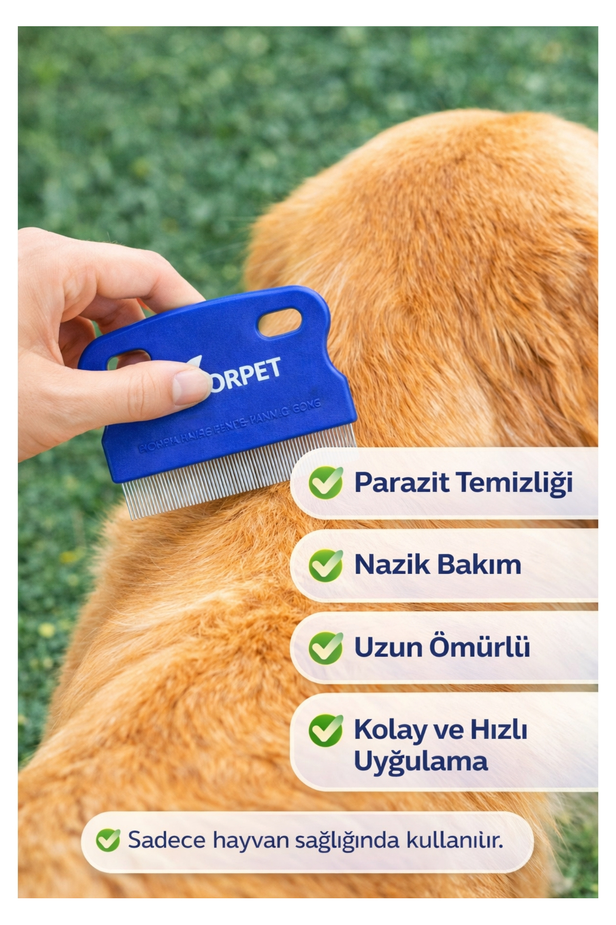 مجموعه مراقبت داخلی و خارجی سگ Fulll کورپت KorPet، FULL+FULL با فرمول‌های گیاهی