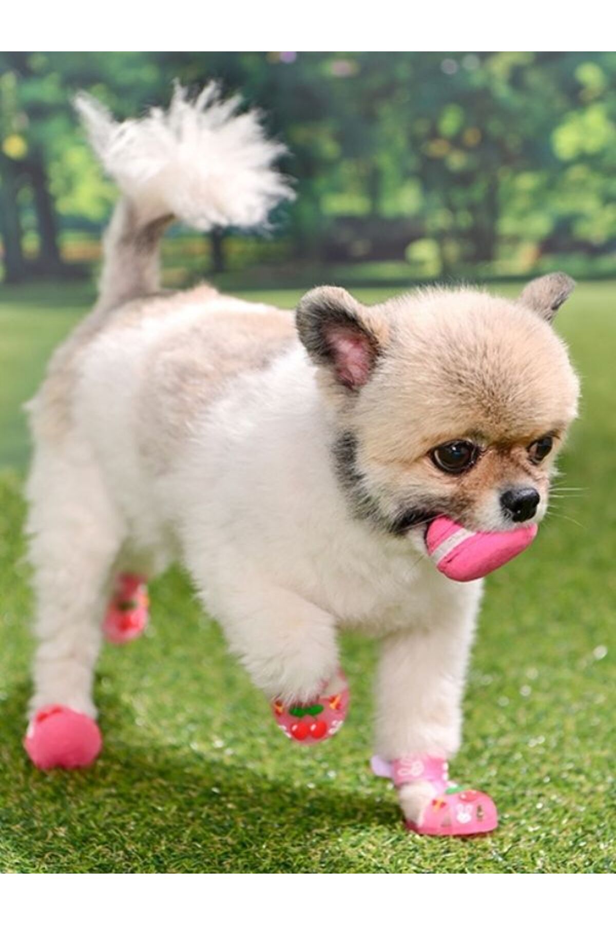 کفش سگ اُلچی Olchi Cherry Rabbit Shoes، صورتی