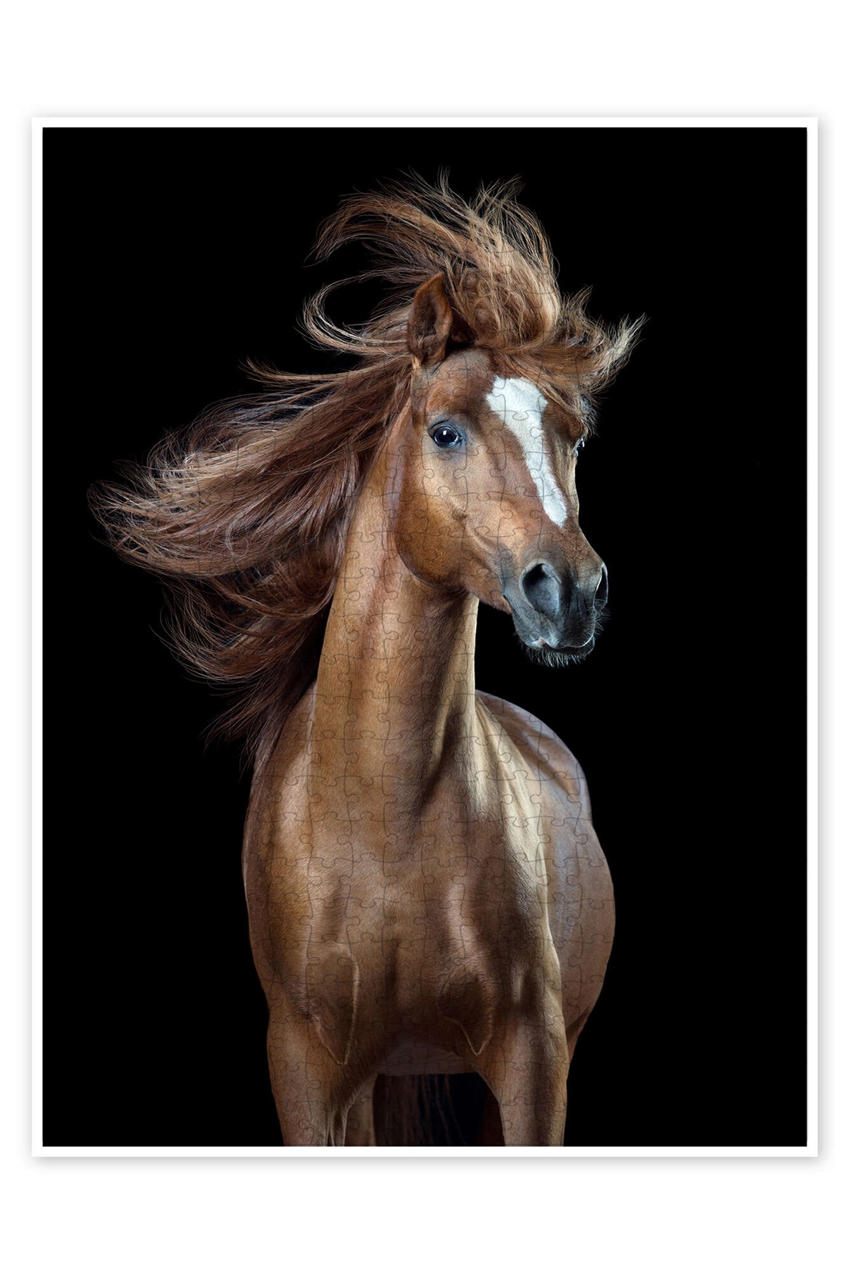 پازل اره منبت کاری مویی 500 تکه HORSE STYLE III با تم سگ حیوانات طبیعت و جنگل از ترکیه Jeronkarji