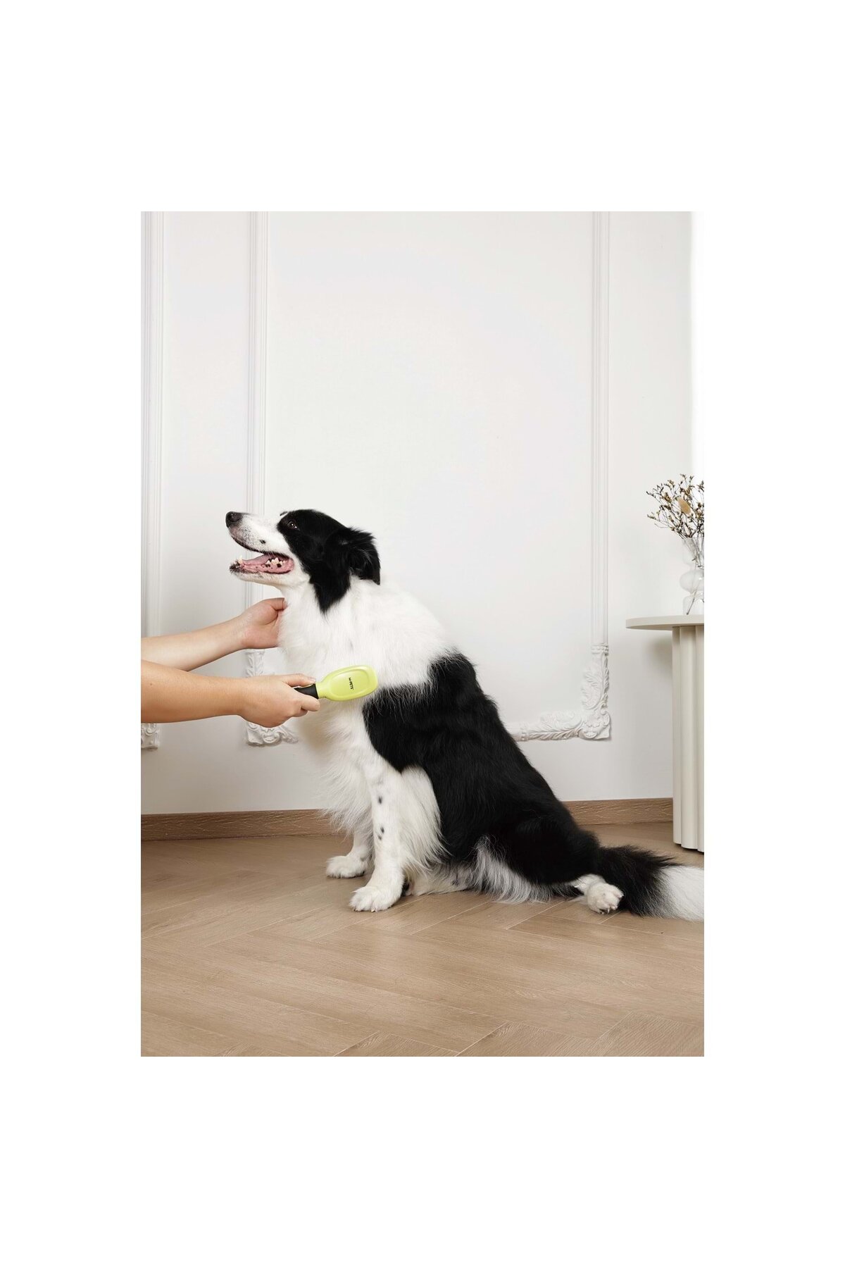 برس ماساژ گربه و سگ ام‌پتس M-PETS CLICK AND GROOM 60107199