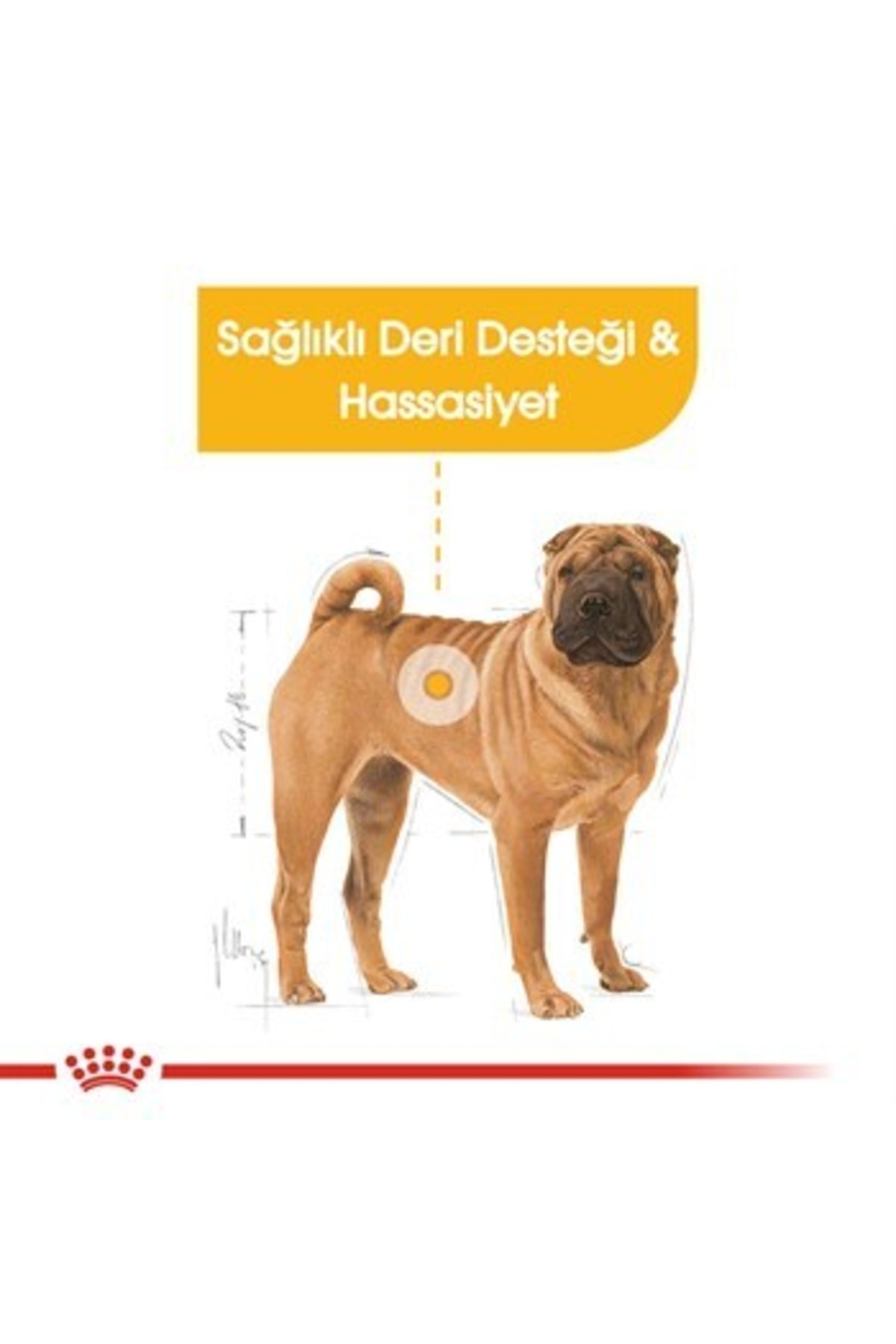 غذای خشک سگ رویال کنین Royal Canin Medium Dermacomfort، ۱۲ کیلوگرم، برای نژادهای متوسط با حساسیت پوست و مو