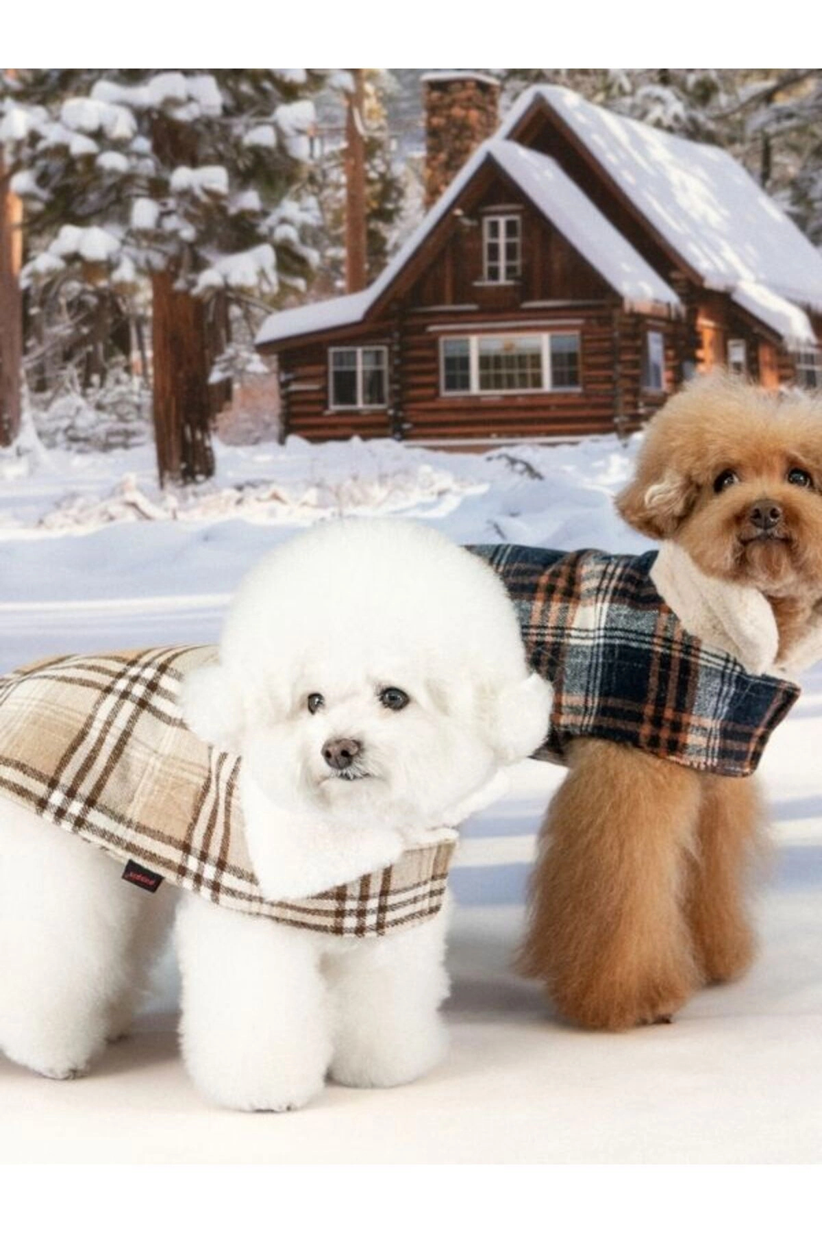 کاپشن سگ پوپیا Puppia Windsor Coat، سرمه‌ای
