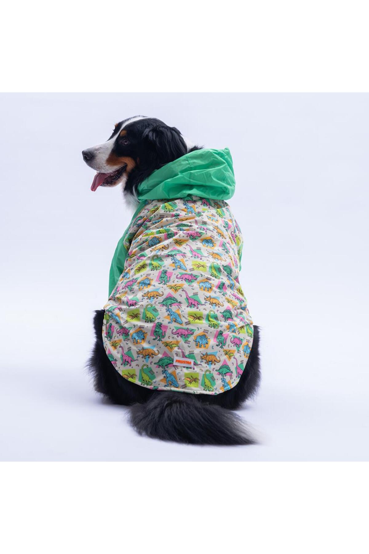 بارانی سگ پاوستار Pawstar Denver Dino مدل PS25-1100، سبز با طرح دایناسور