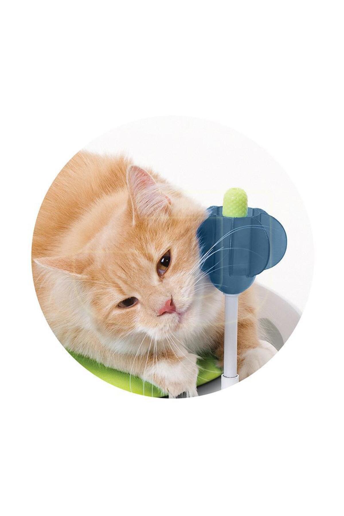 تخت و فضای استراحت گربه همراه با اسباب‌بازی، کاتیت Catit مدل 50724 سفید