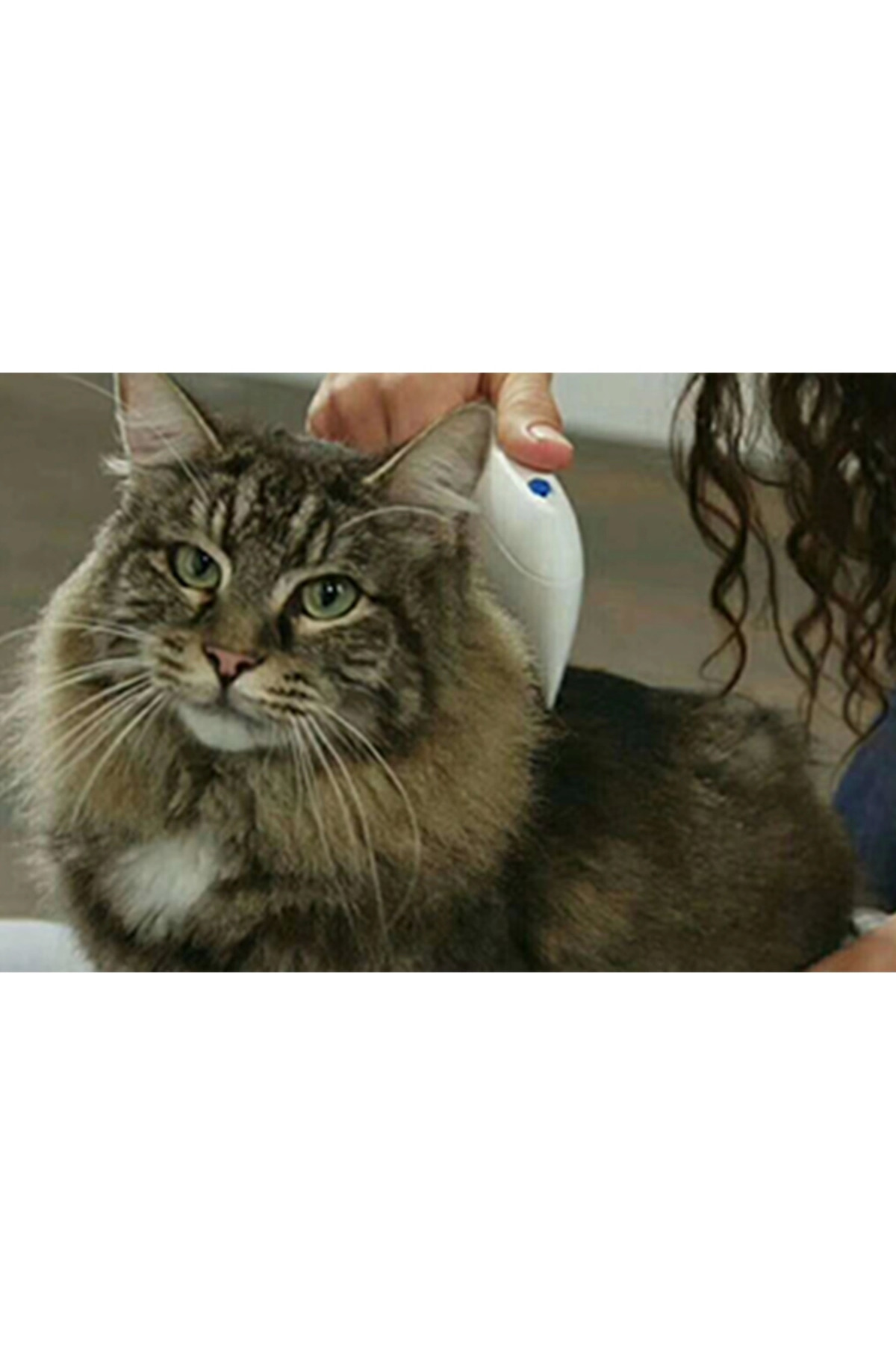 شانه ضدکک باتری‌خور حیوانات Flea Doctor از فگ استور FeGe Store (Lisinya)