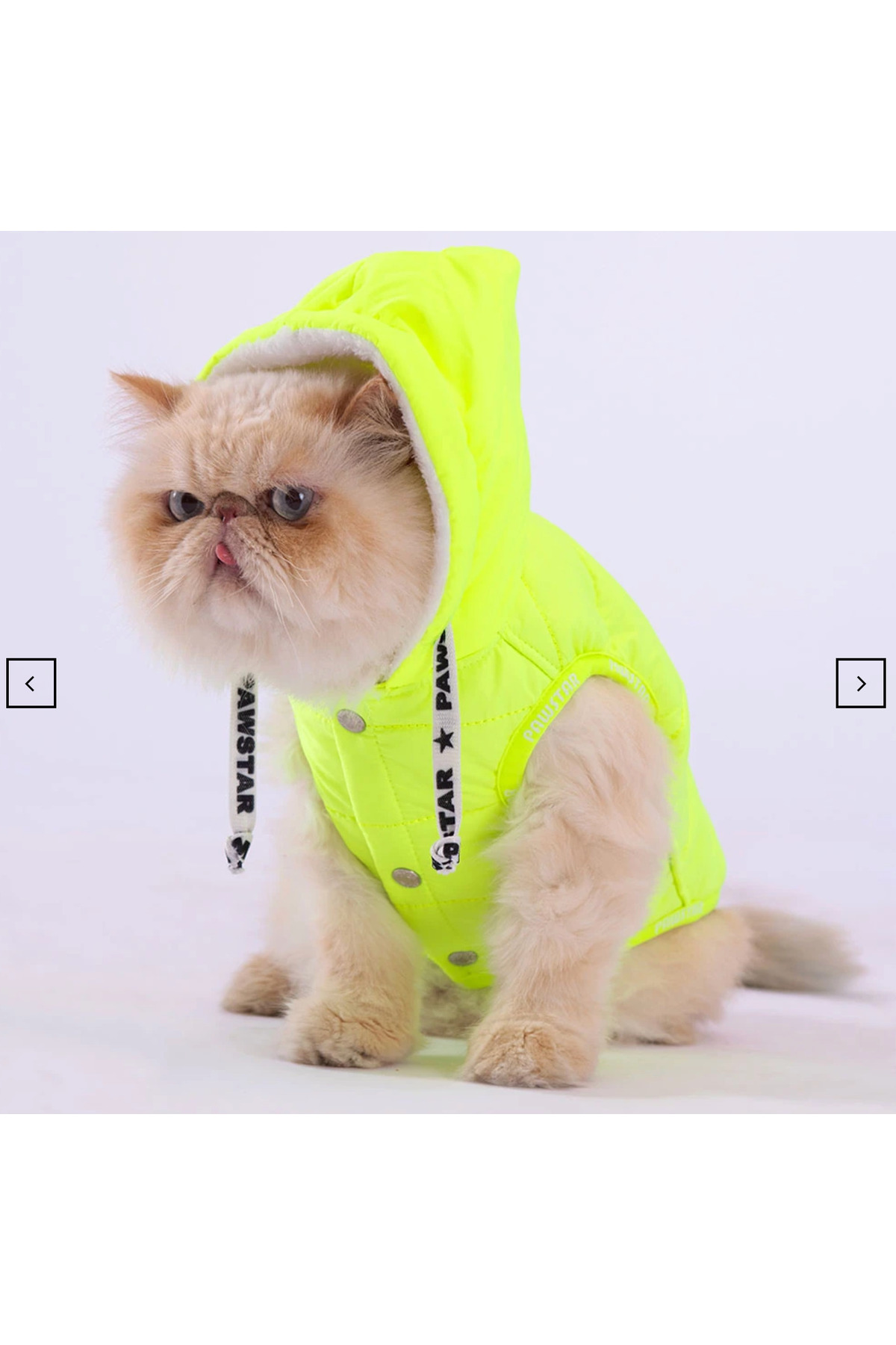 لباس سگ گلدوزی‌شده سبز مسترکت Mastercat Stupid