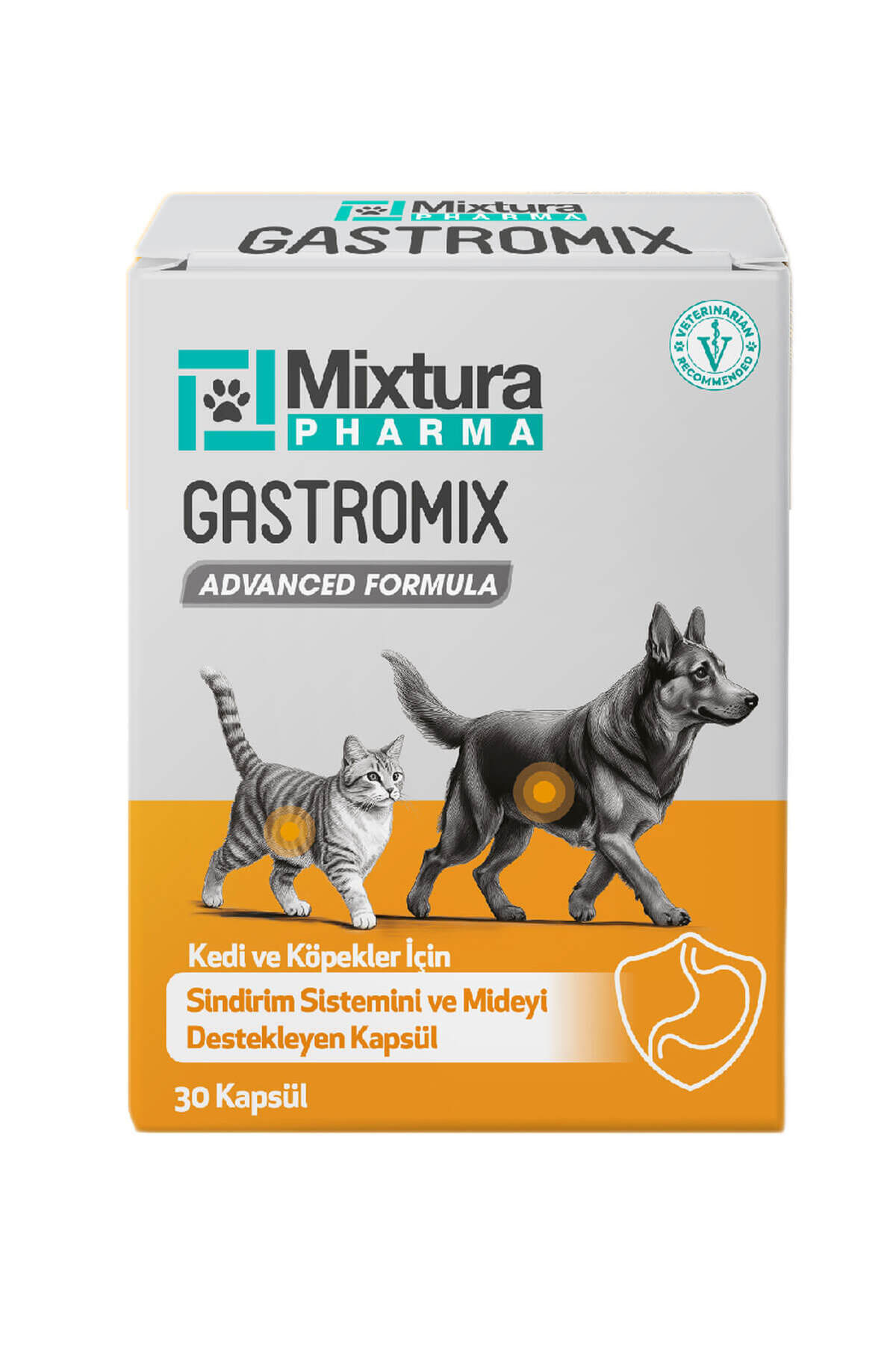 قرص گاسترومیکس برای گربه و سگ، پشتیبان معده و دستگاه گوارش، میکسچورا فارما Mixtura Pharma مدل MT5000