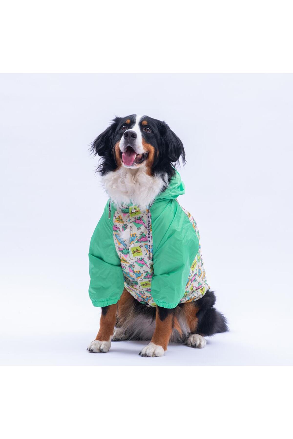 بارانی سگ پاوستار Pawstar Denver Dino مدل PS25-1100، سبز با طرح دایناسور