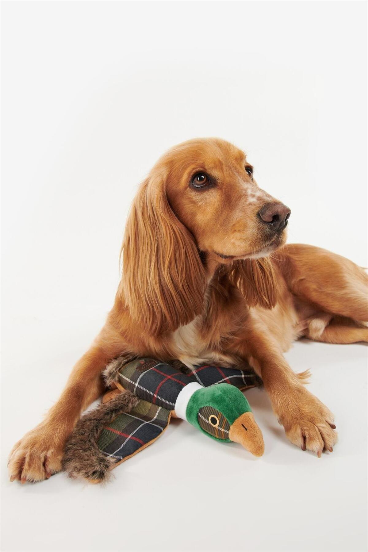 اسباب‌بازی سگ باربور Barbour TN11 Classic Tartan، چندرنگ