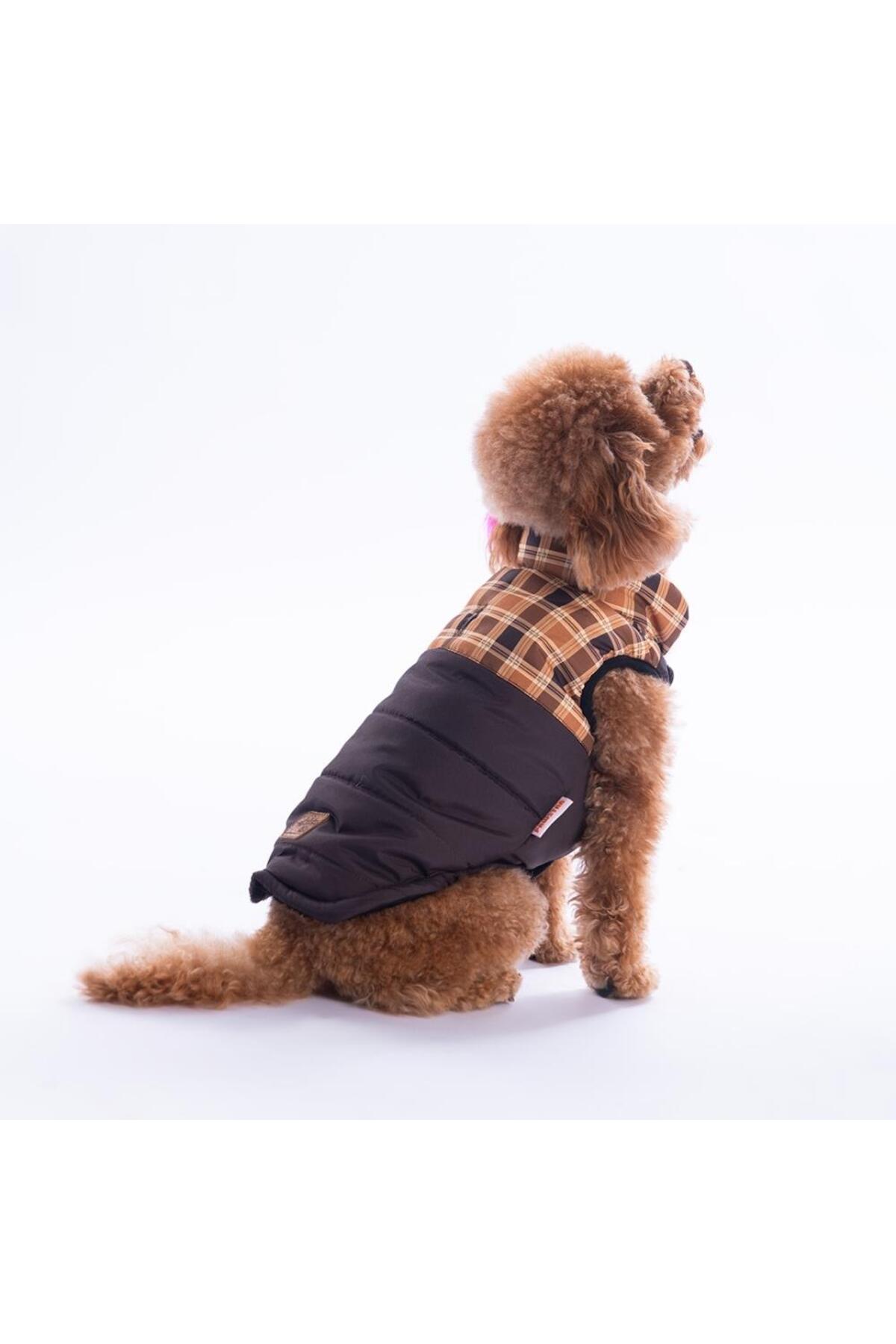 جلیقه سگ پاواستار Pawstar، Elgin Paws، قهوه‌ای با طرح چهارخانه، مدل 25103 قهوه‌ای و چندرنگ