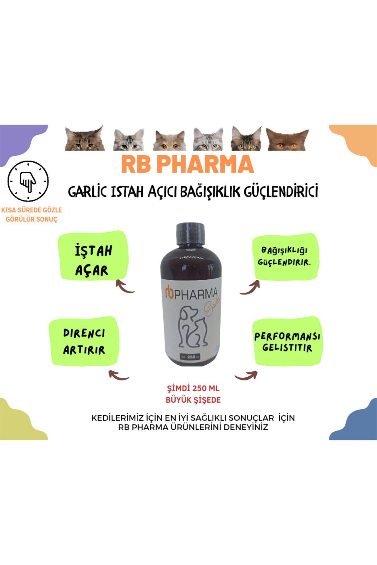 قطره مکمل سیر برای گربه، اشتها‌آور و تقویت‌کننده ایمنی، ۲۵۰ میلی‌لیتر آر‌بی فارما RB PHARMA