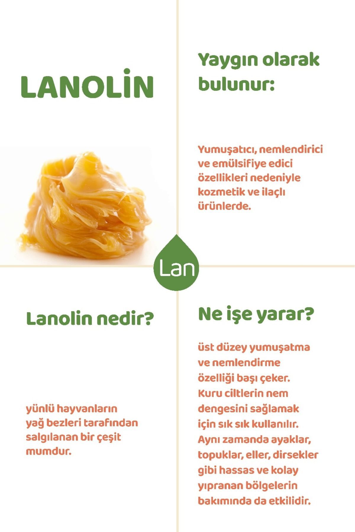 کرم ترک پا آرگان کیور 75 میلی لیتر برای درمان ترک و خشکی پا Argan Cure