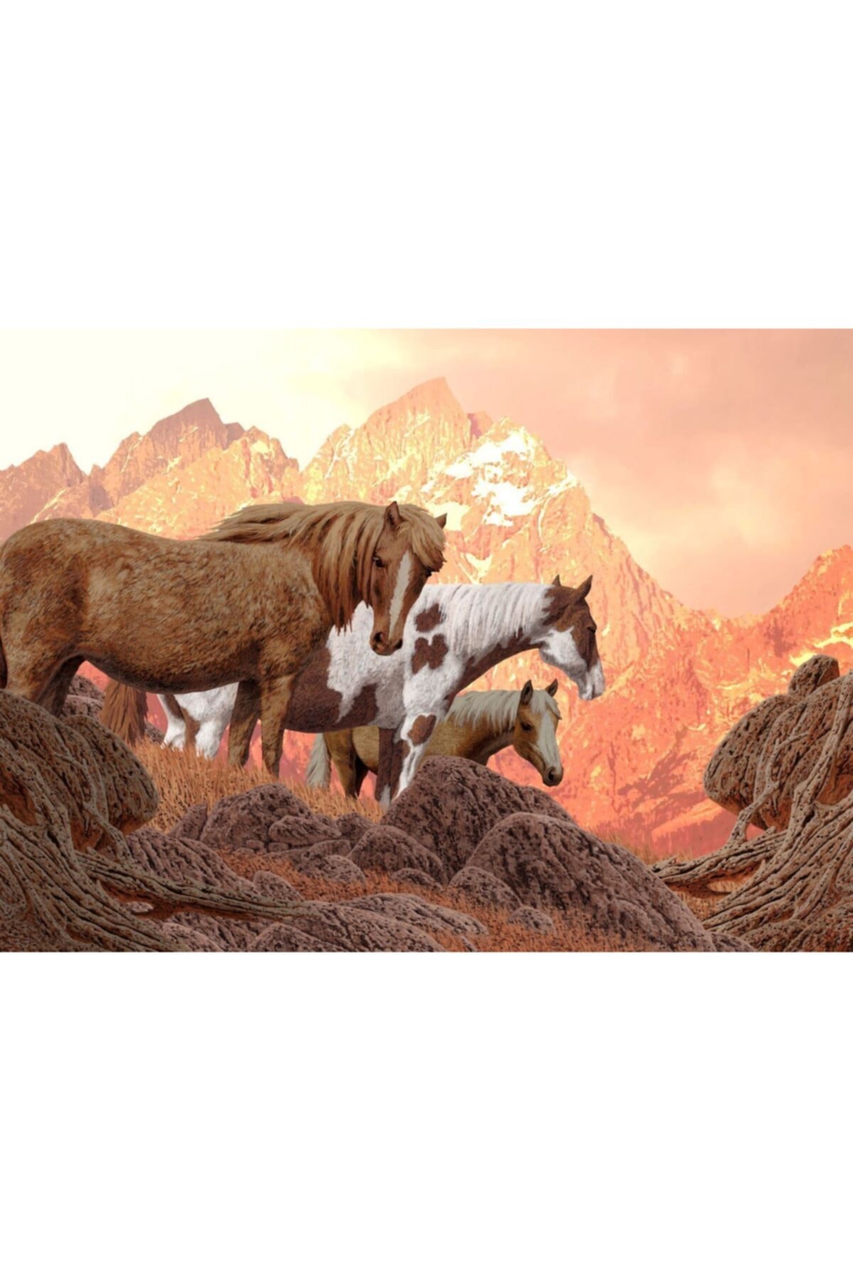 پازل 1000 قطعه از ترکیه Nova Puzzle