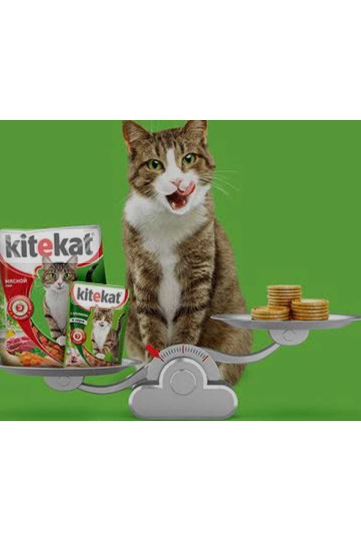 غذای کنسروی گربه کیت‌کت Kitekat، بسته ۳۰ عددی، هر قوطی ۸۵ گرمی، طعم گاو، مرغ و سالمون