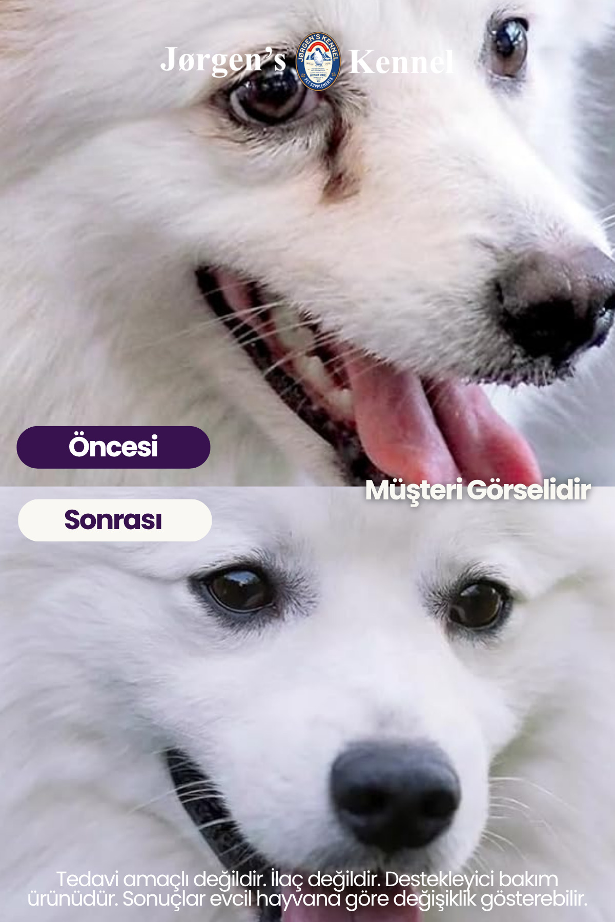 محلول پاک‌کننده چشم و لکه اشک سگ جورجنس کنل Jorgens Kennel، ۱۰۰ میلی‌لیتر