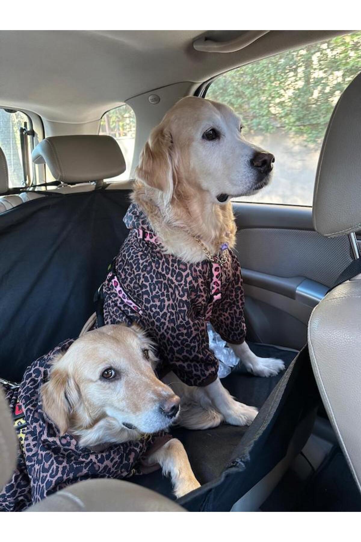 کاپشن سگ ضدآب طرح پلنگی میس دیزی پت بوتیک Miss Daisy Pet Boutique قهوه‌ای