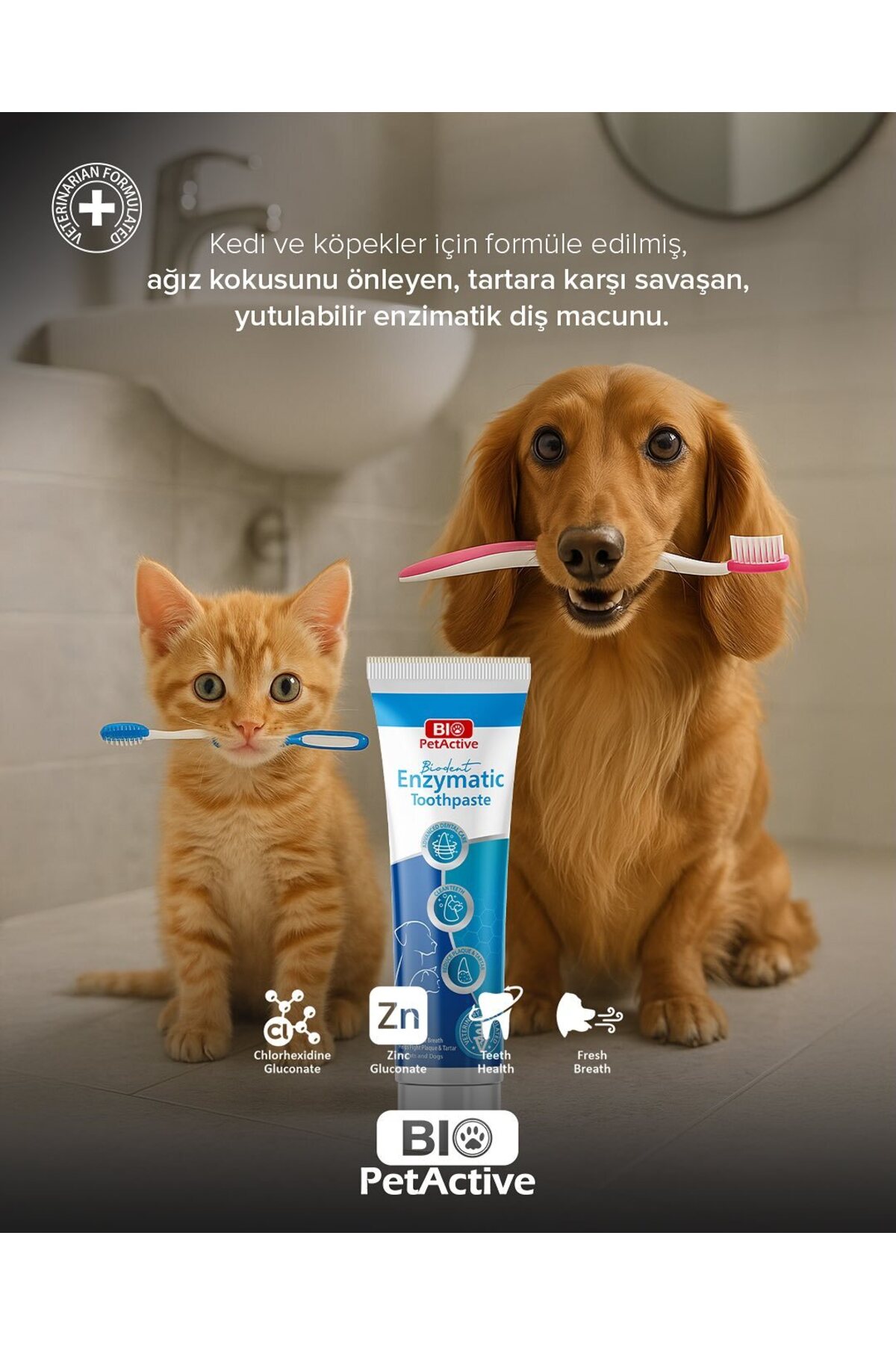 خمیر دندان سگ پت‌اکتیو Pet Active، ۱۰۰ میلی‌لیتر همراه با مسواک سه‌گانه