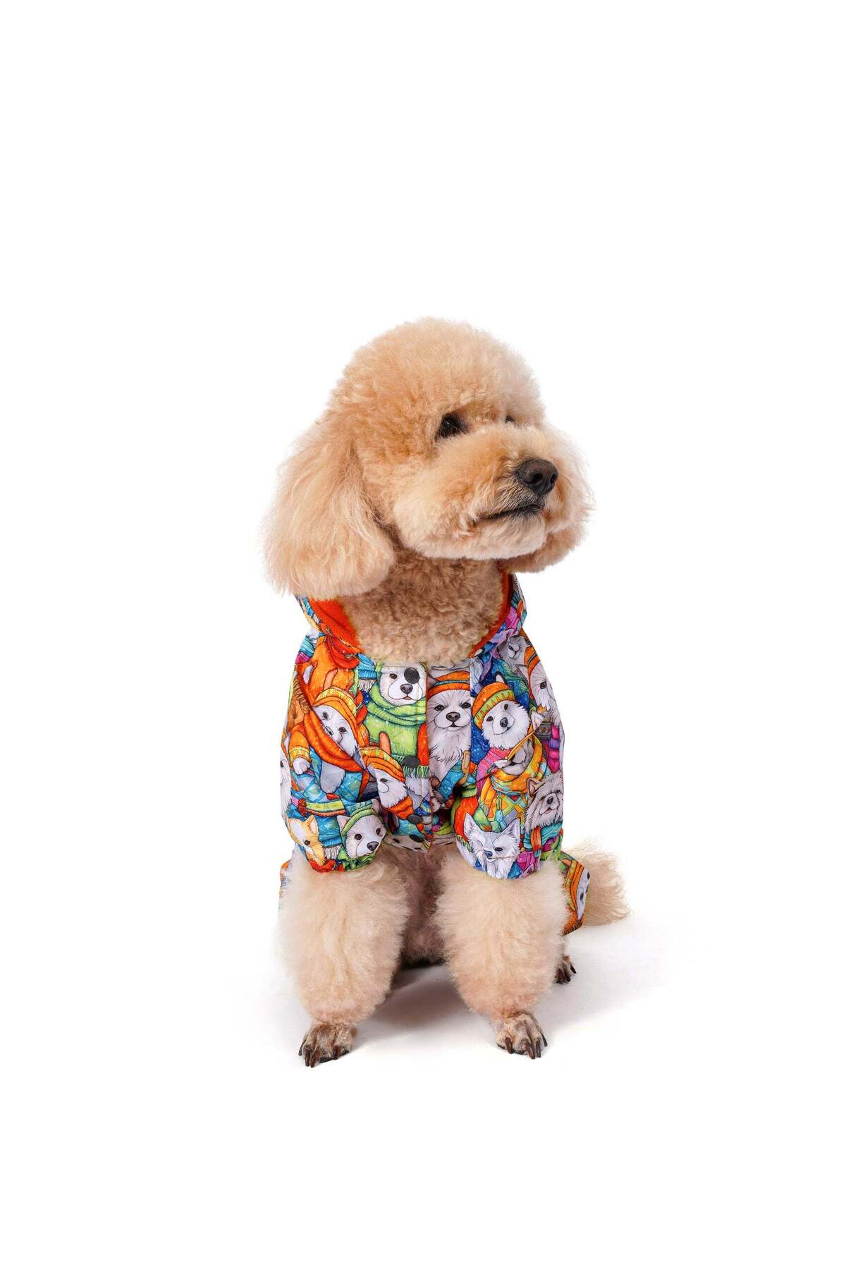 سرهمی سگ فورامور fouramour طرح Happy Winter Dogs با آستر پولار، مدل UDOWD17010 نارنجی