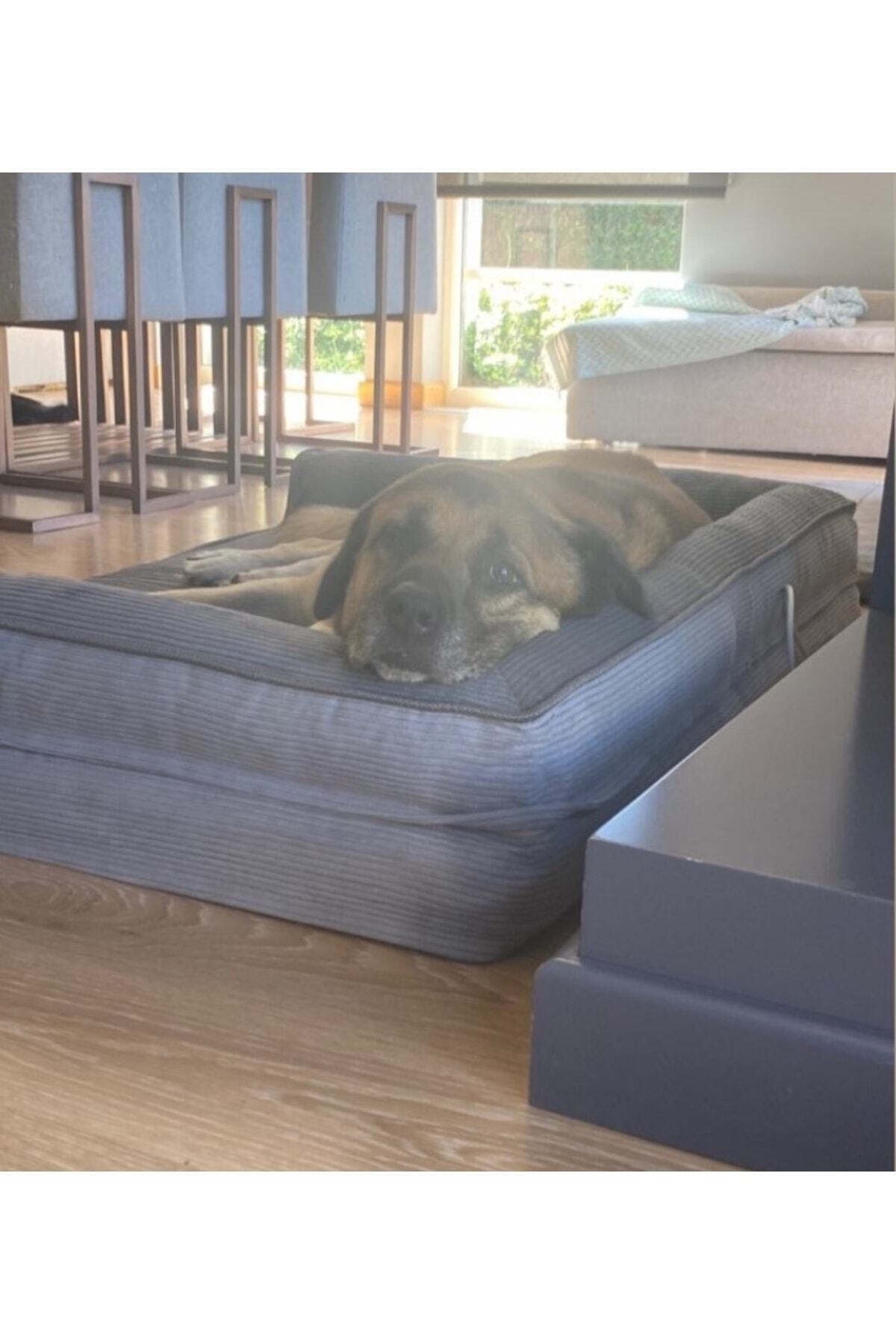 جای خواب سگ ویسکوپت ViscoPet Premium Sofa با فوم بلوکی، روکش محافظ و زیپ خاکستری