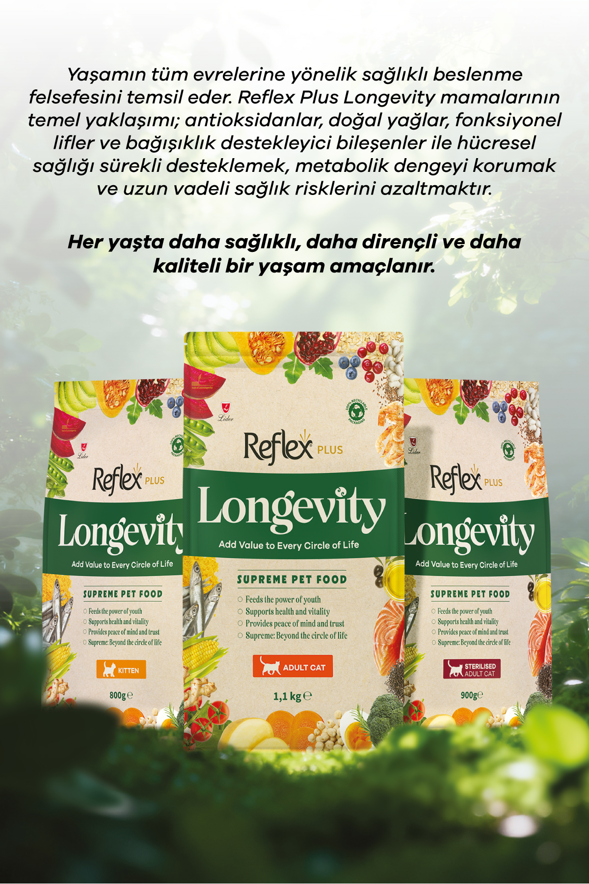 غذای خشک بچه‌گربه رفلکس Reflex Plus Longevity، ۸۰۰ گرم