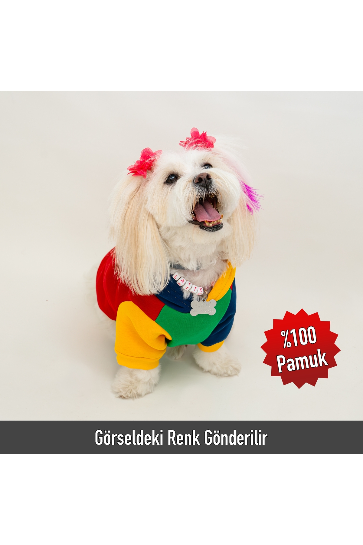 سویشرت کلاه‌دار گربه و سگ بادی استور Buddy Store، بژ، مدل BS-SWCOLORFUL