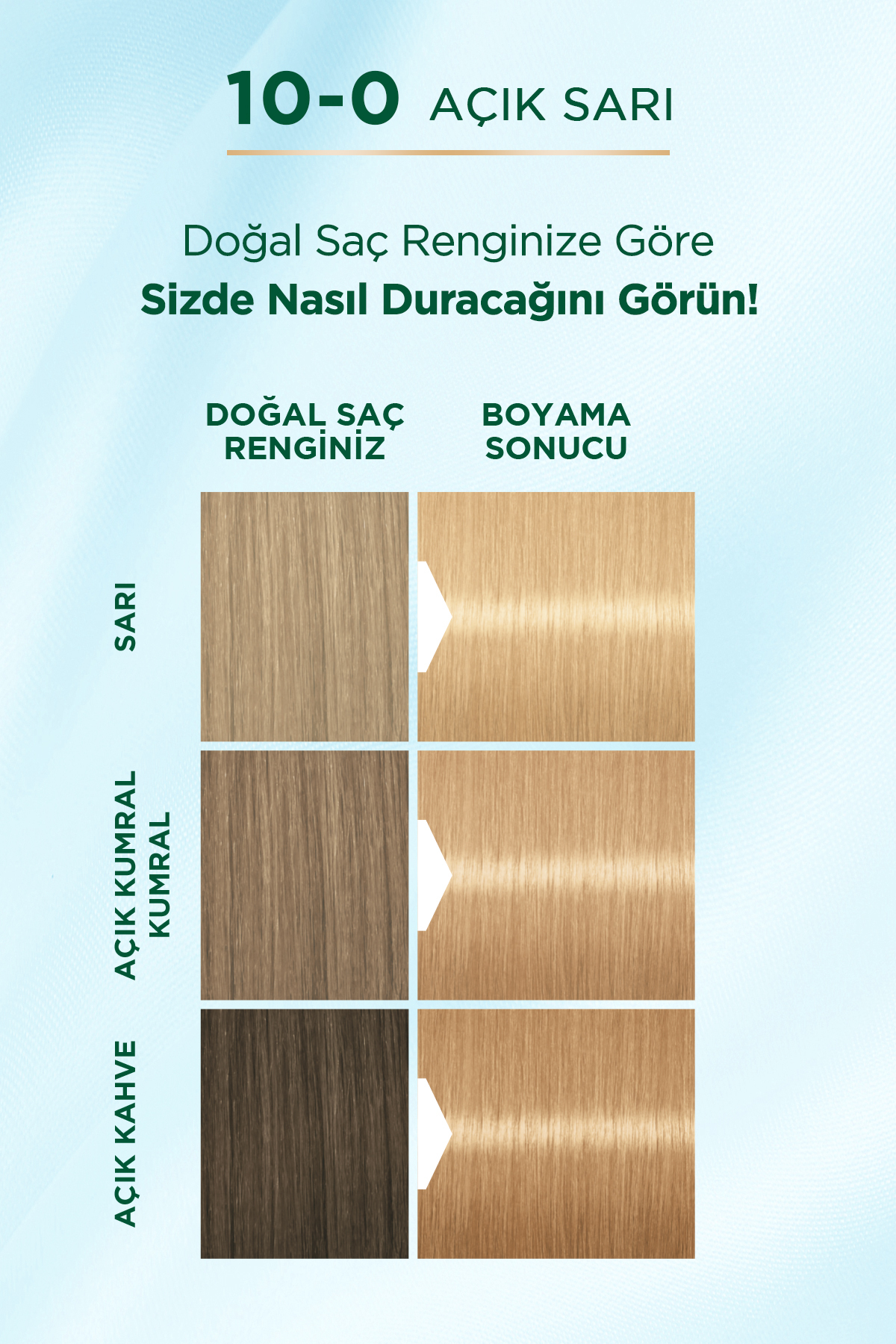 رنگ موی دائمی طبیعی شماره 10-0 رنگ زرد روشن با عصاره توت گوجی پالت Palette
