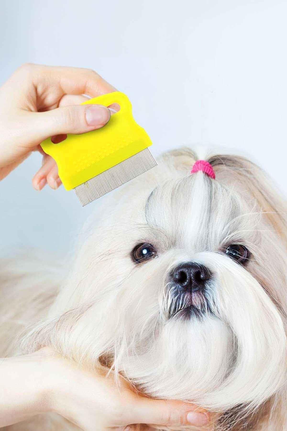 شانه ضدکک و شپش گربه و سگ گوبی‌پت GOBYPET