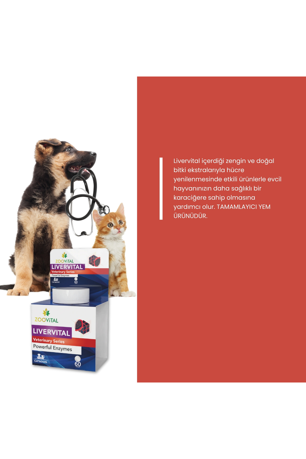 قرص مکمل حمایت از سلامت کبد برای گربه و سگ زوویتال Zoovital Livervital