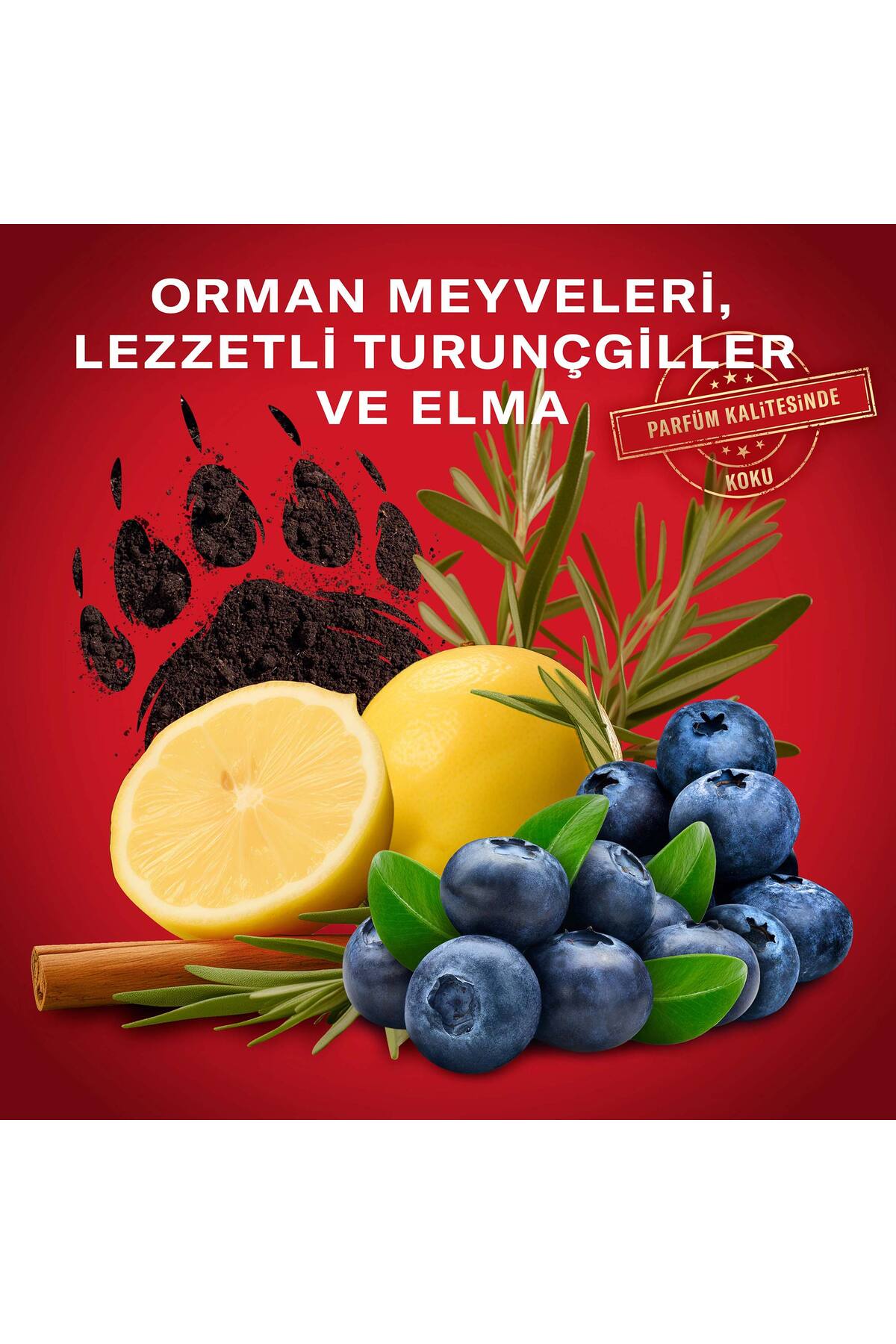 دئودورانت رول آن 50 میلی لیتر مدل Bearglove مناسب برای همه جنسیت ها اولد اسپایس Old Spice