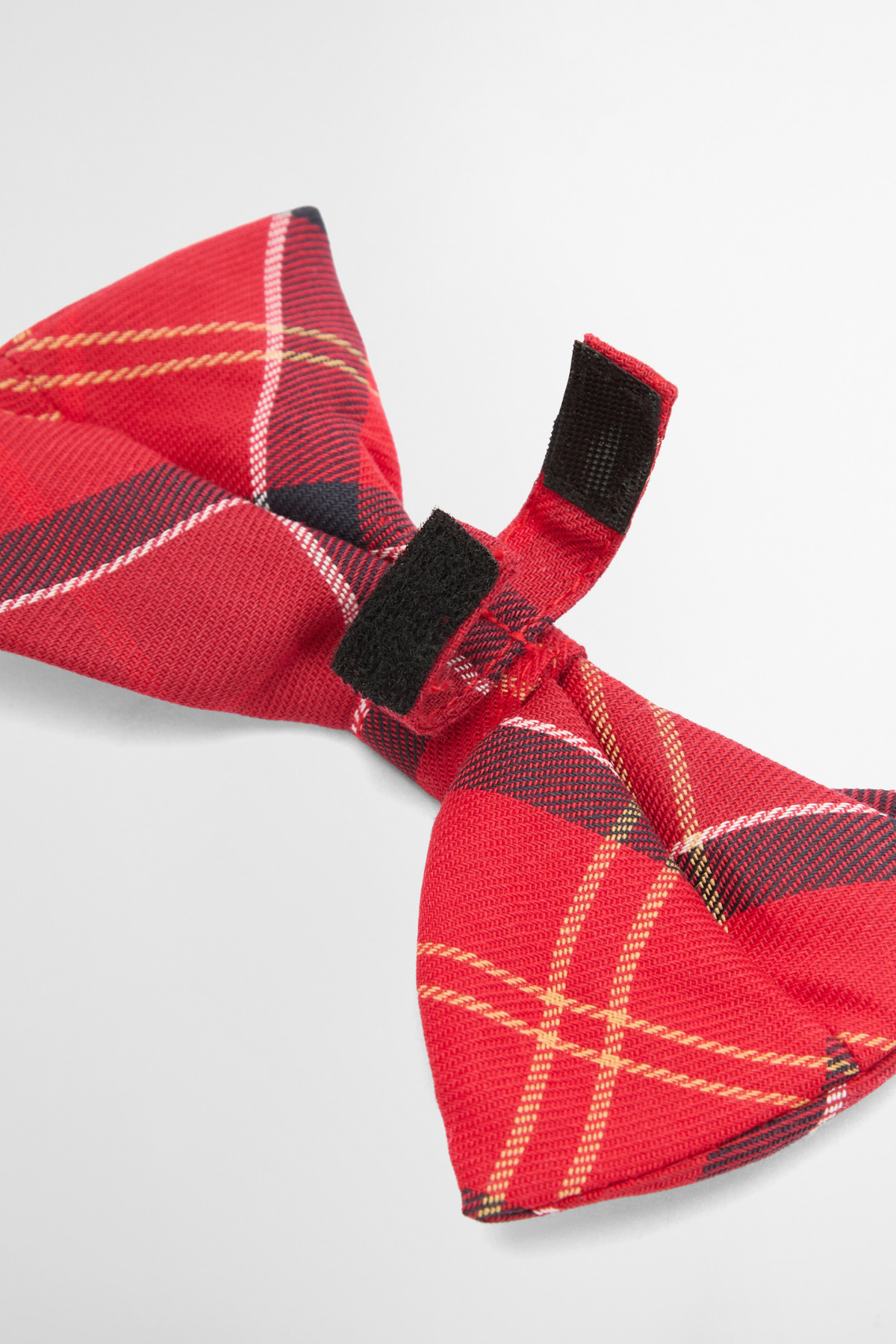 پاپیون سگ باربور Barbour طرح تارتان Cardinal Tartan، مدل TN94، کد DAC0032-0604 قرمز
